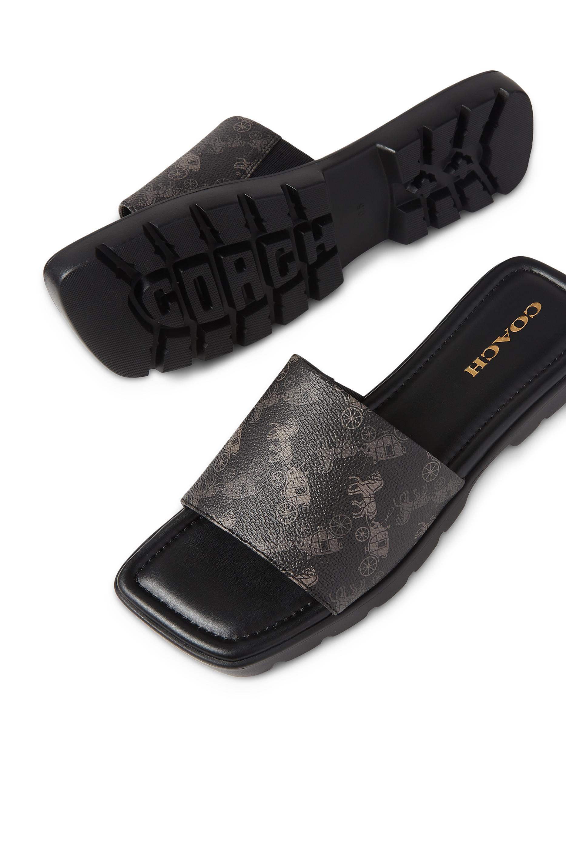 Florence Horse and Carriage-Print Canvas Flats