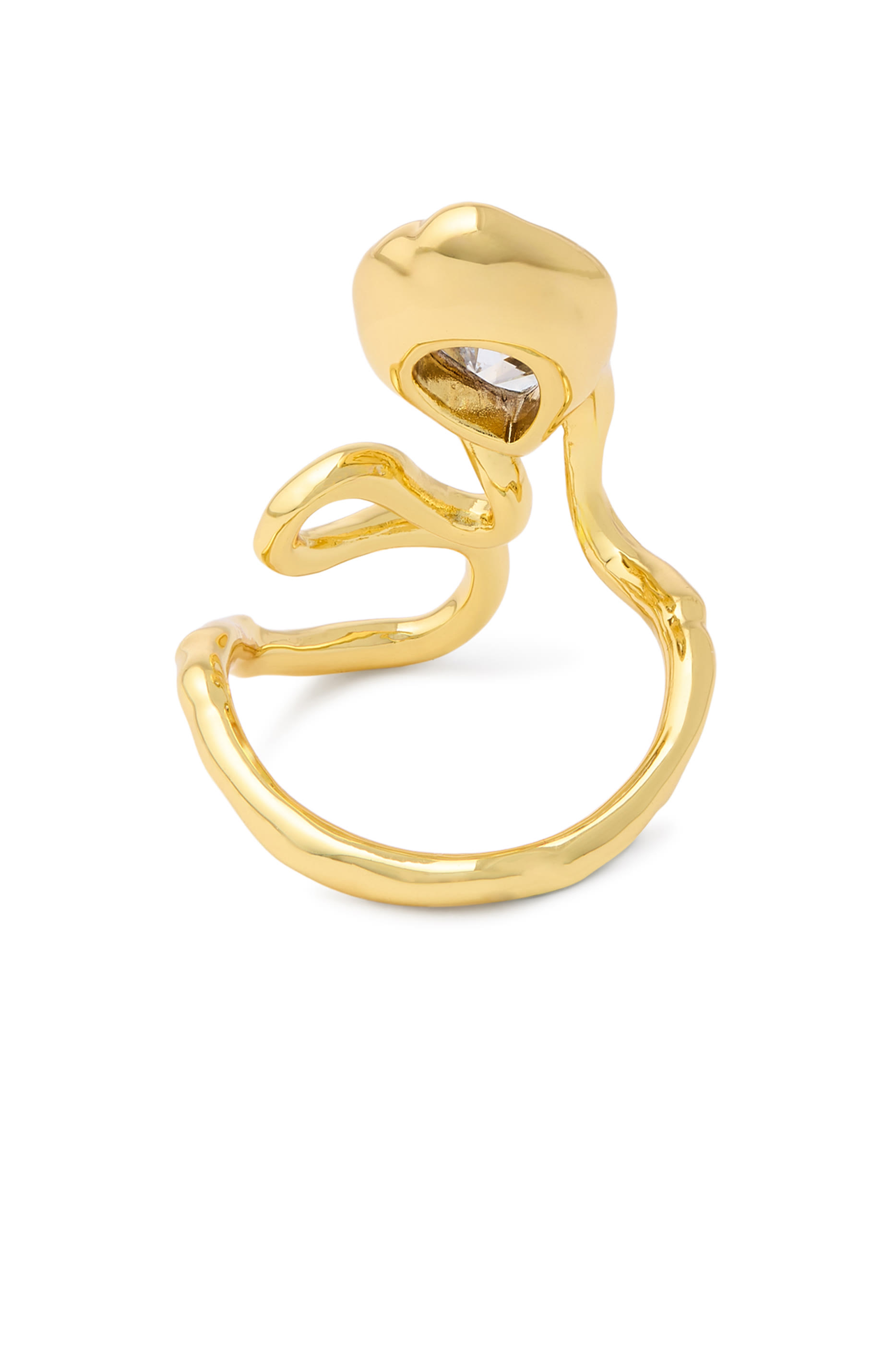 Asterales Floating Vine Ring