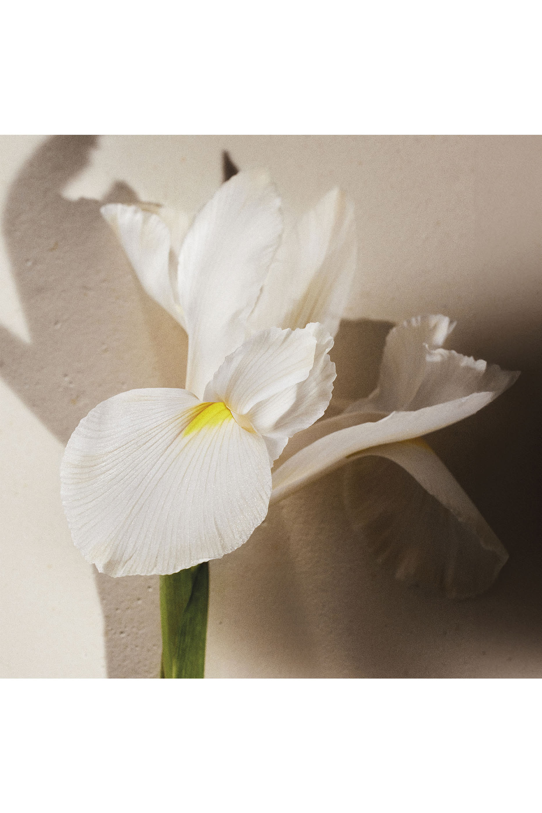 Atelier Des Fleurs Naturelle Iris Eau De Parfum