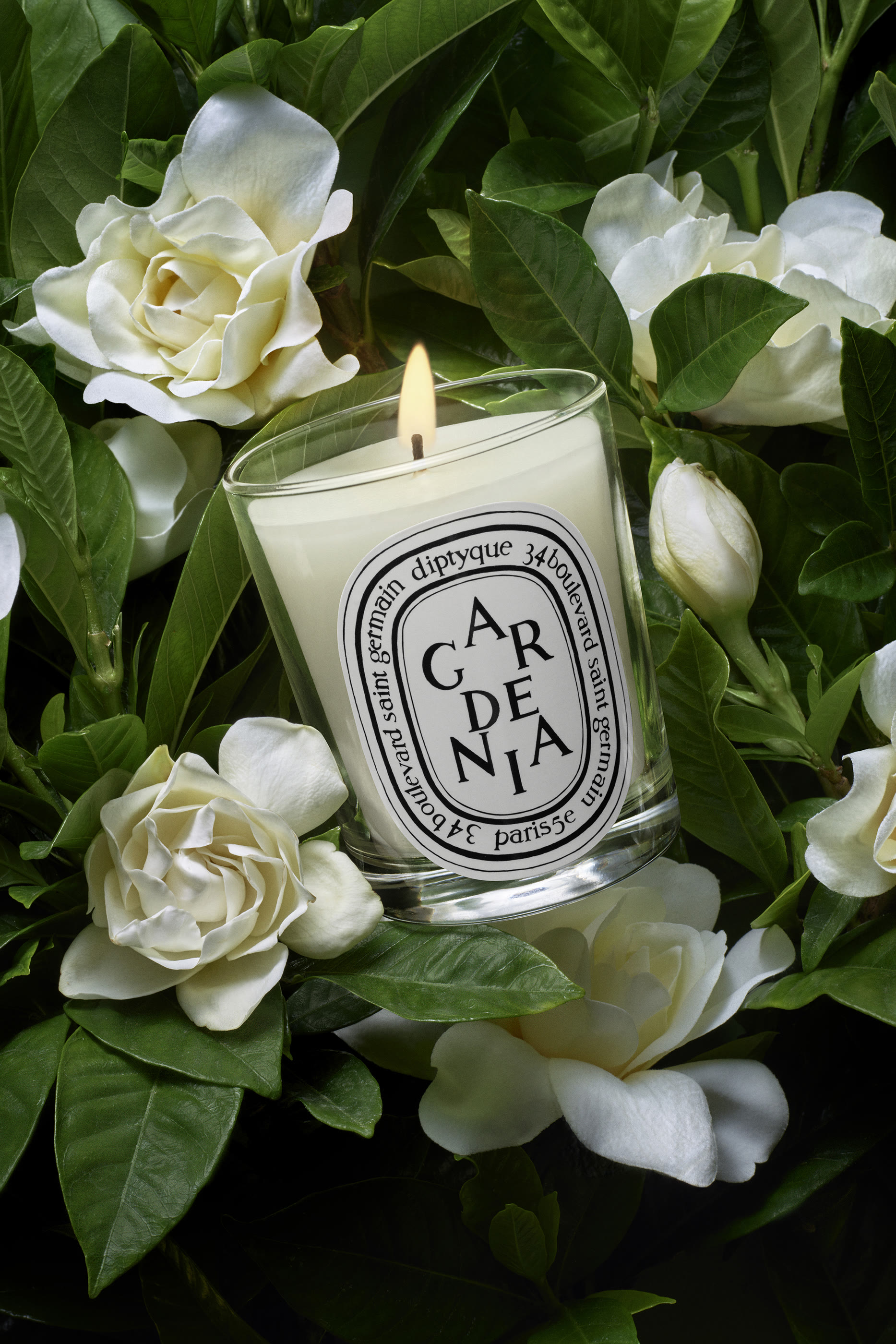 Gard&eacute;nia Candle