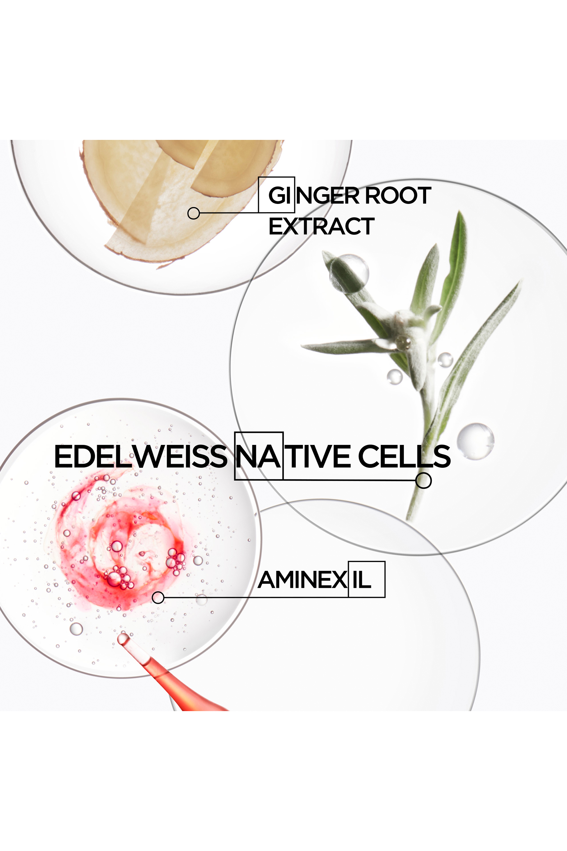 Genesis Reconstructing Anti-Hairfall Conditioner