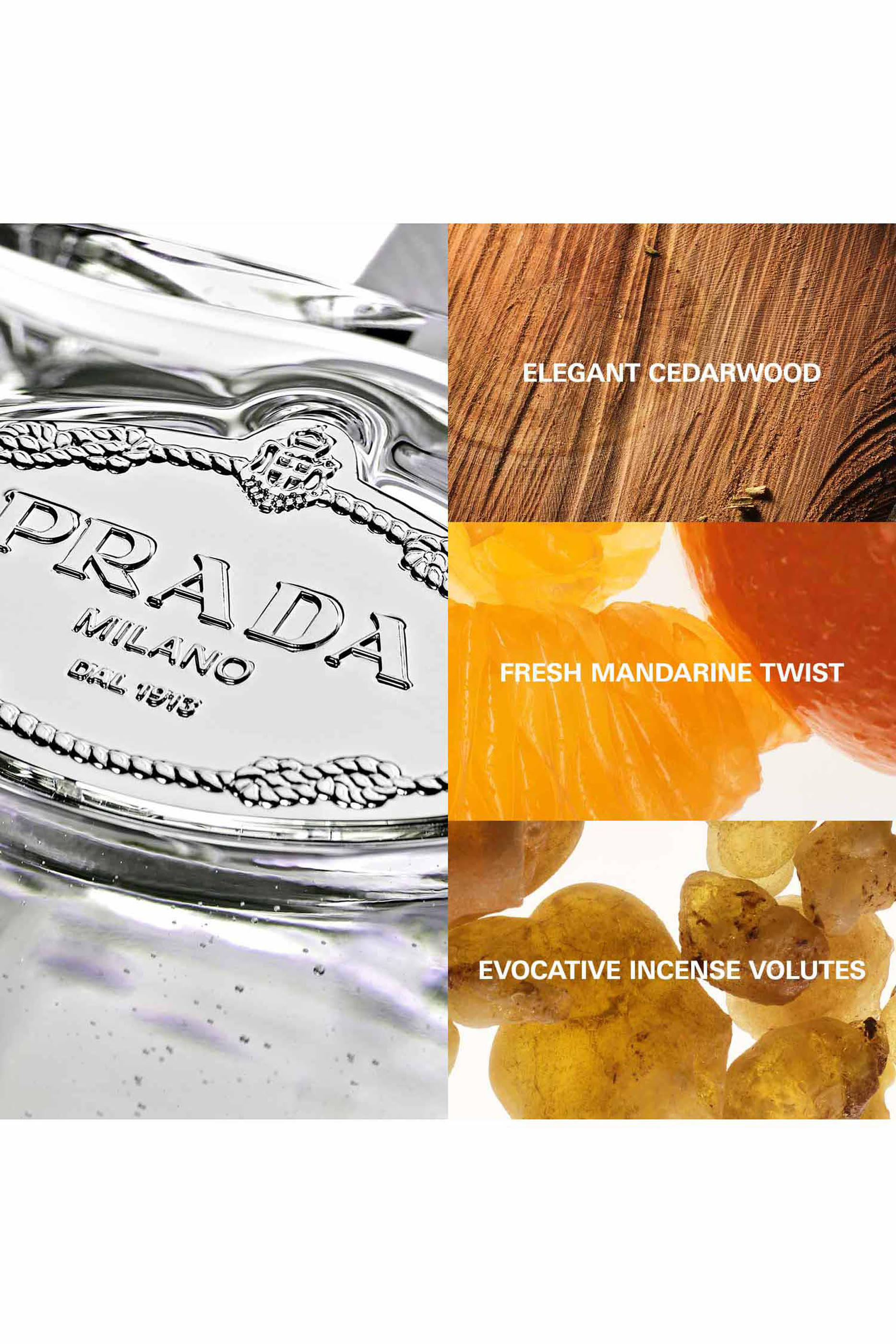 Les Infusions de Prada C&egrave;dre Eau de Parfum