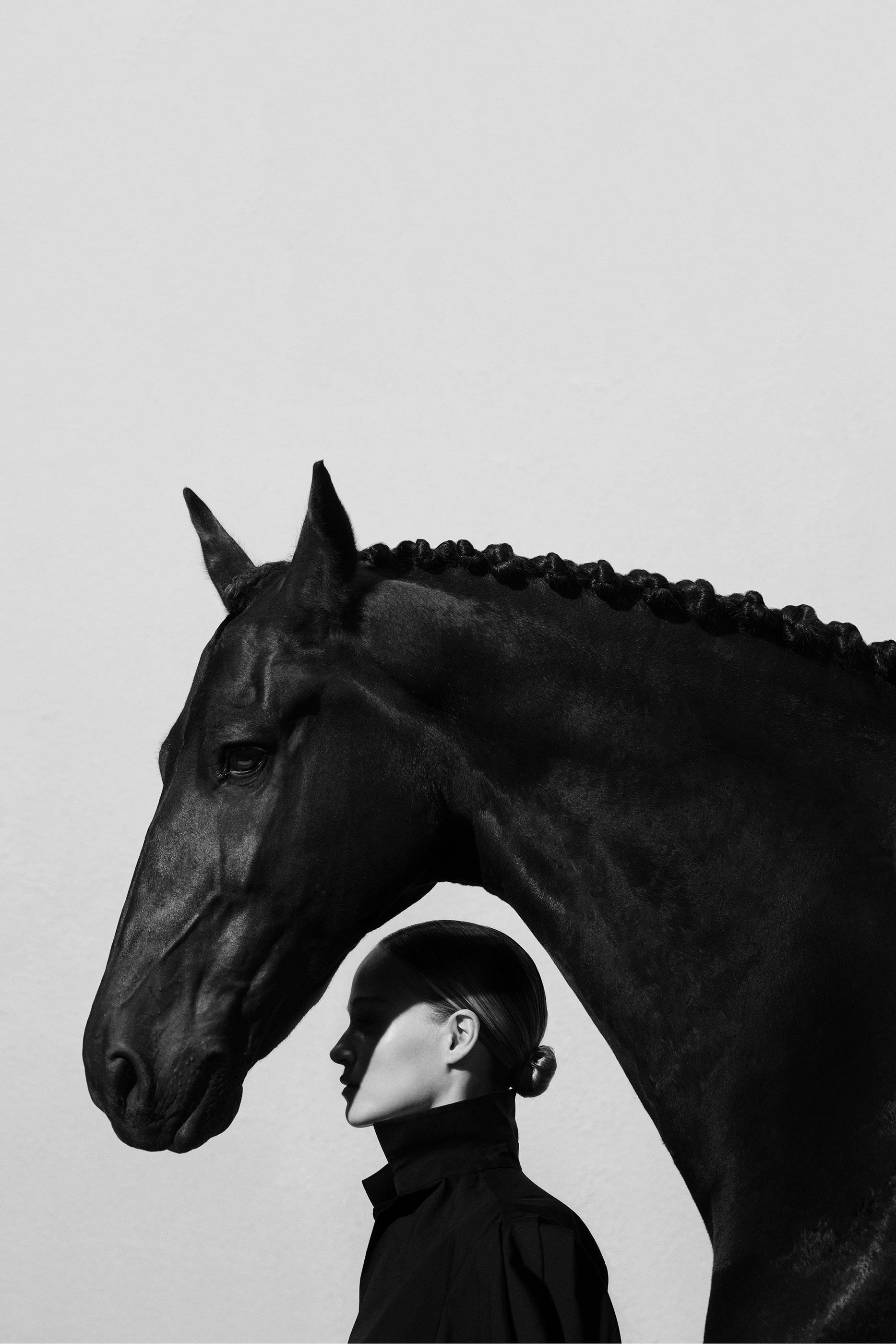 Stallion Leather Suede