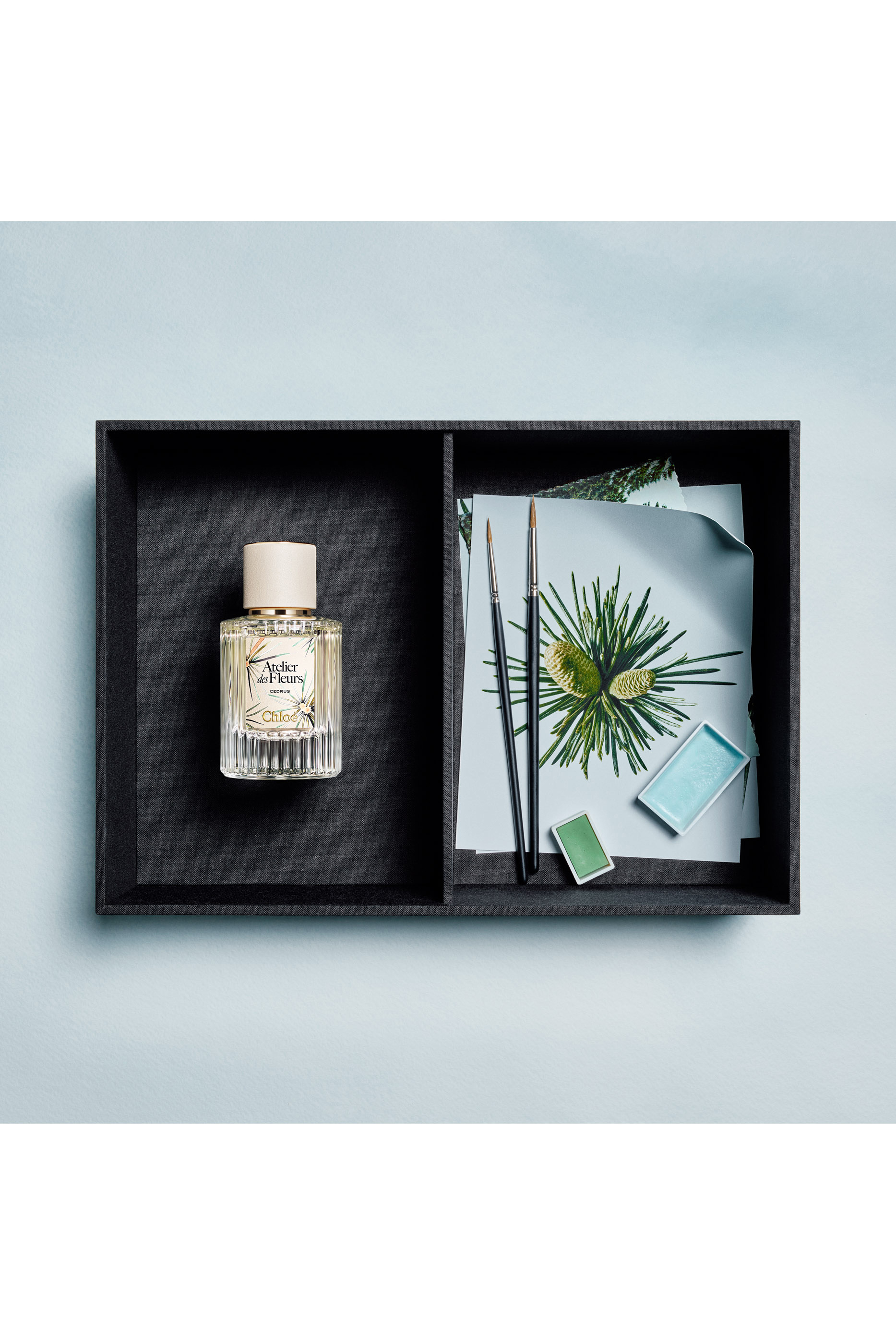 Atelier des Fleurs Cedrus Limited Edition Eau de Parfum 