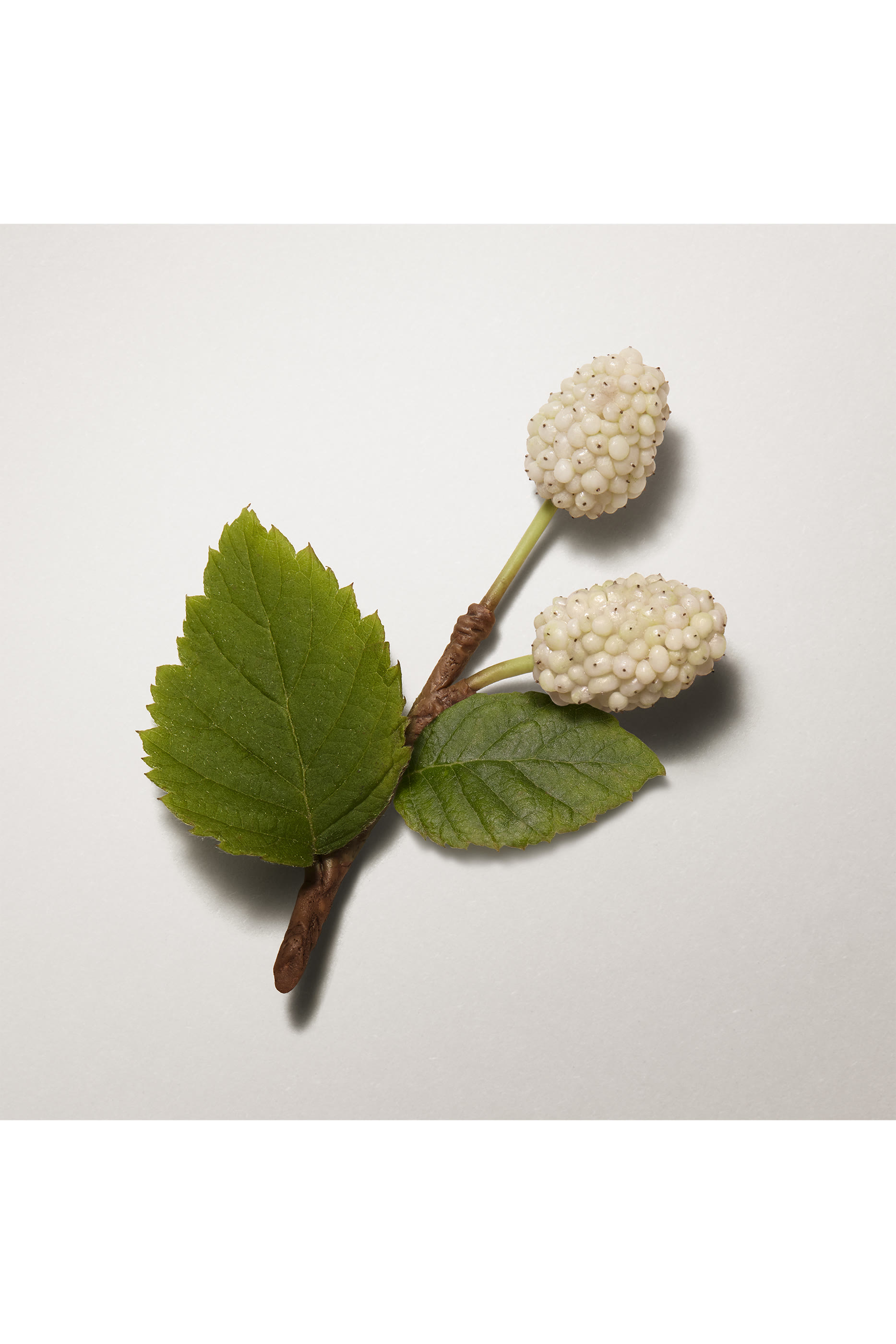 Les Mains Herm&egrave;s, nourishing oil