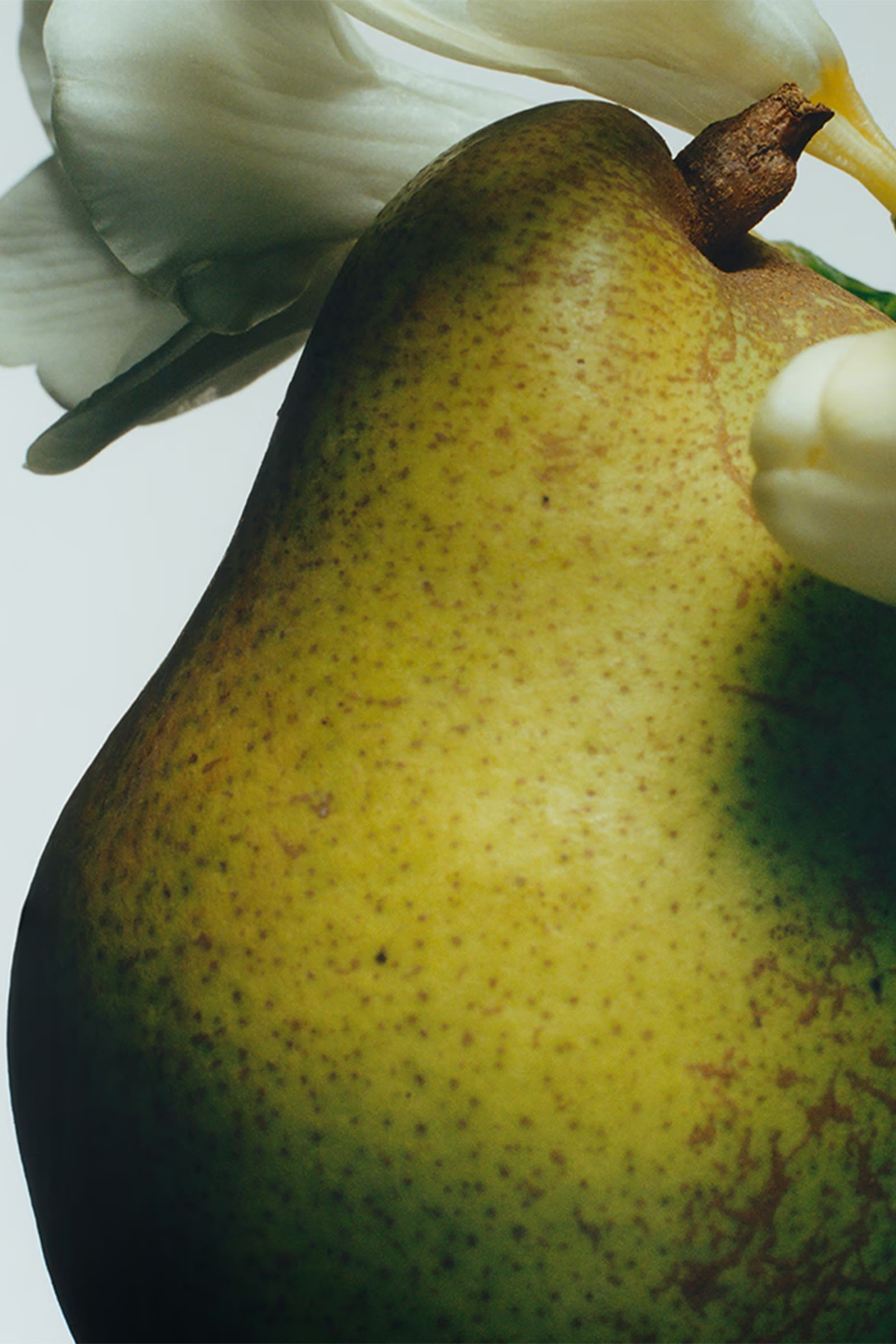 English Pear and Freesia Body Cr&egrave;me Intense