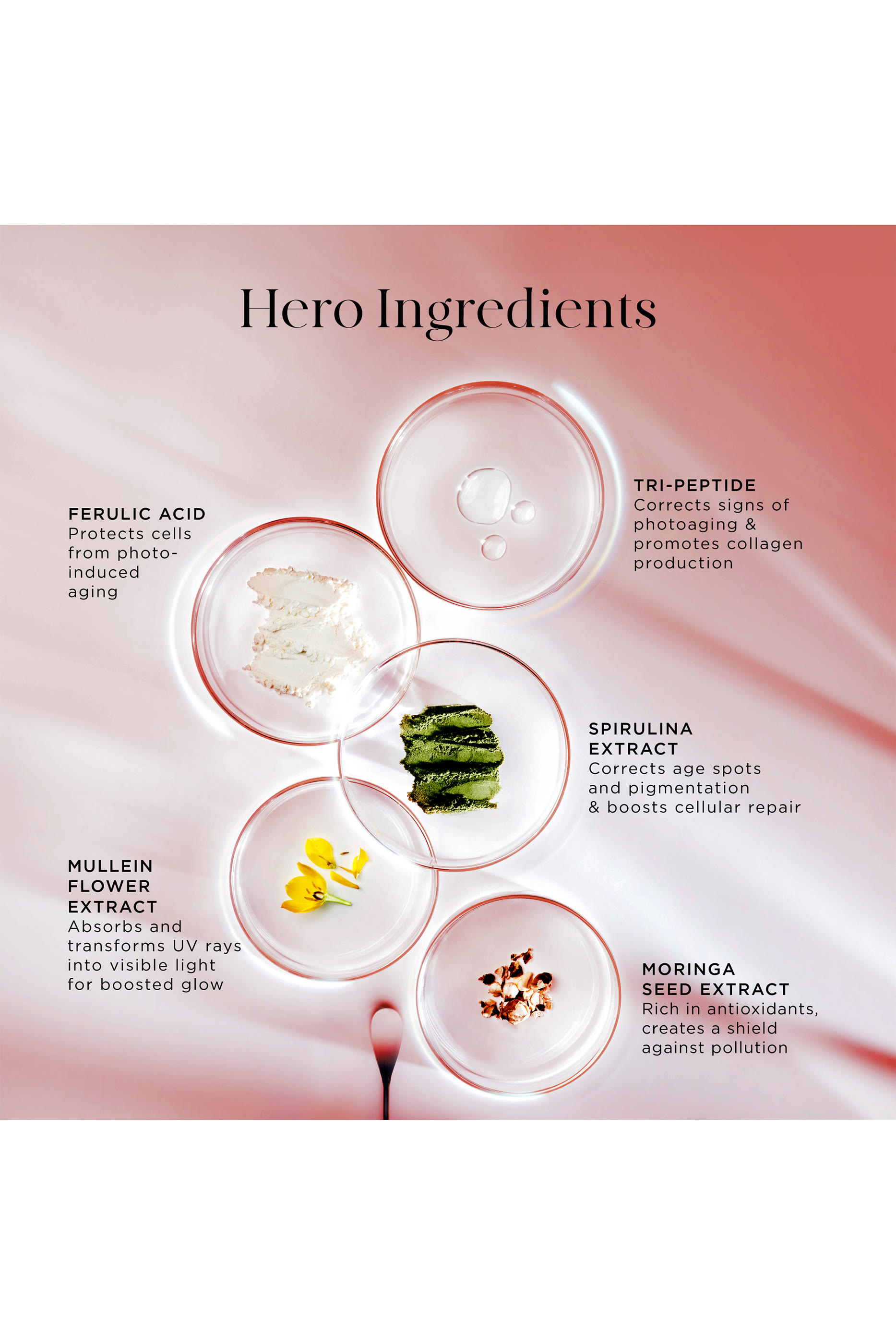 Noble Panacea The Energist Multi-Defense Cream SPF50, Set of 60