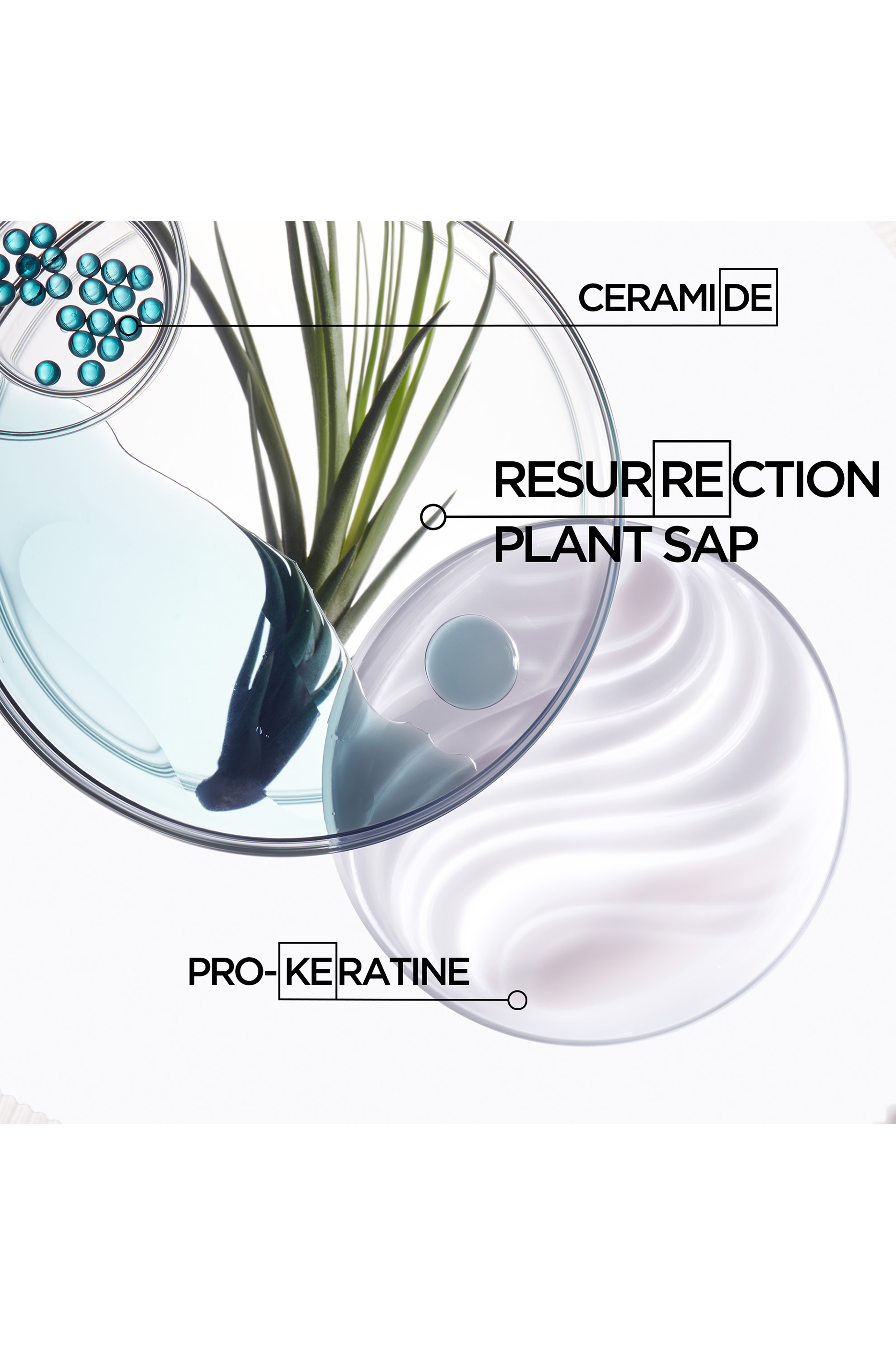 R&eacute;sistance Ciment Thermique Strengthening Milk