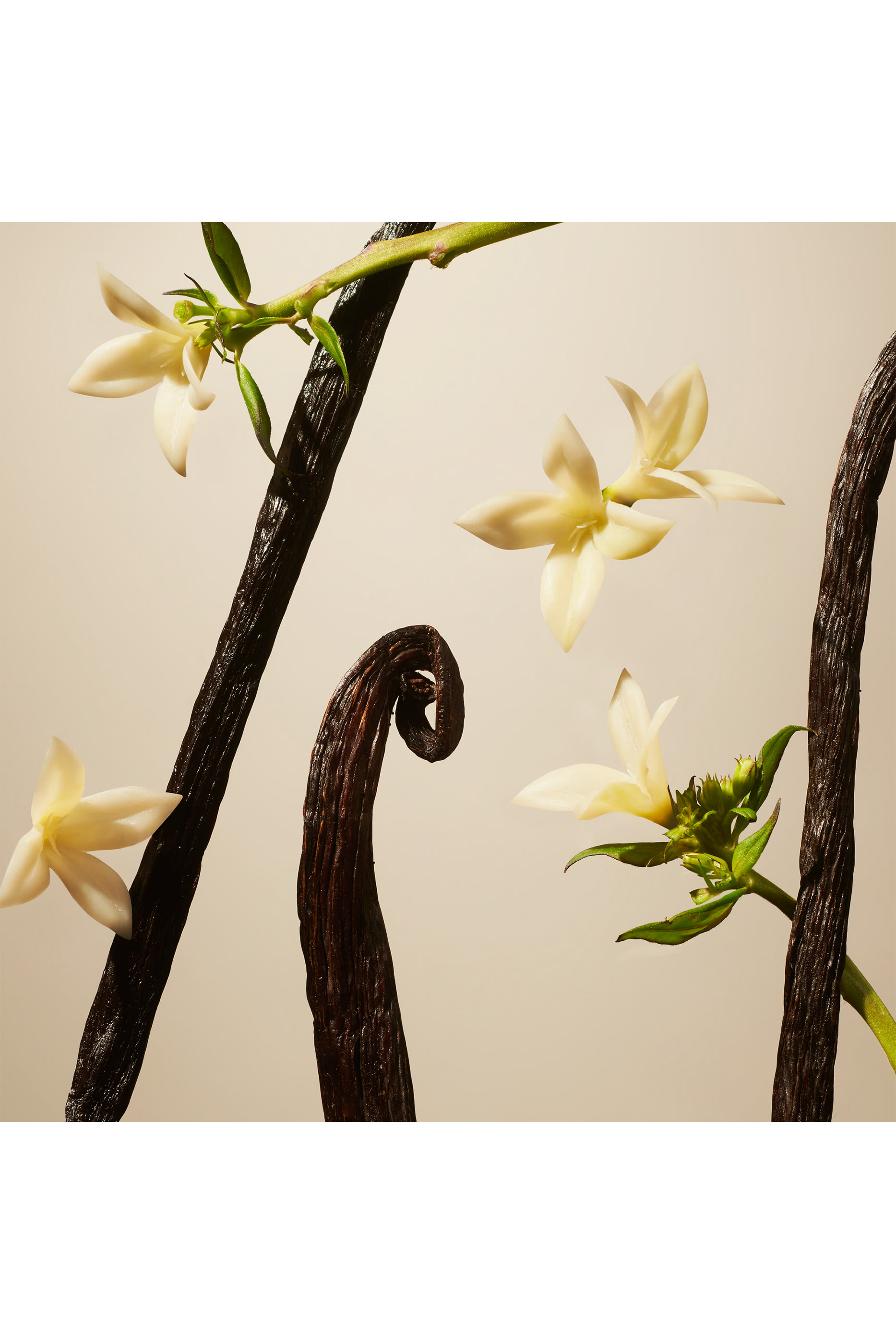 Suede Vanilla Parfum d'Interieur, 500ml