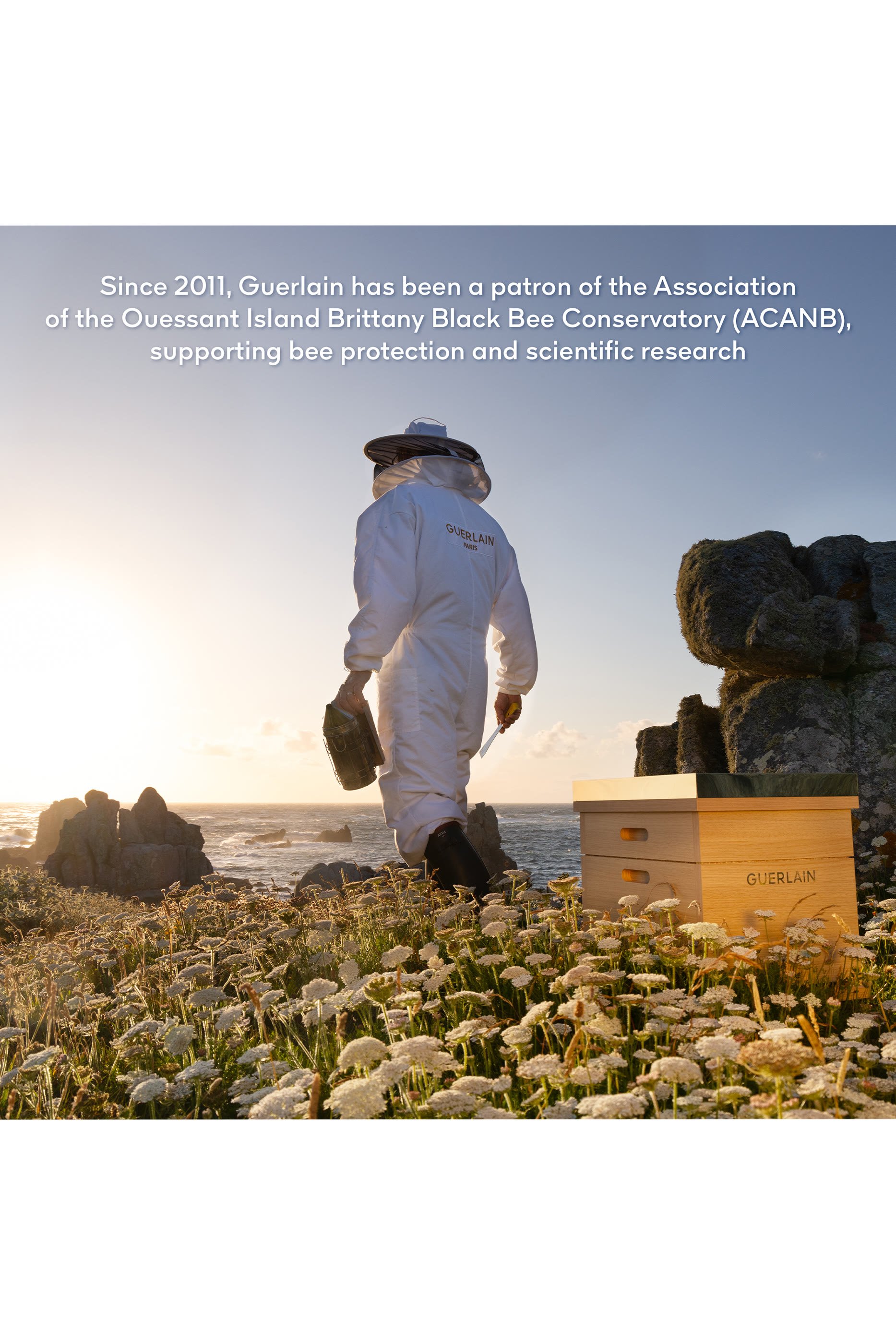 Abeille Royale Youth Watery Oil Serum