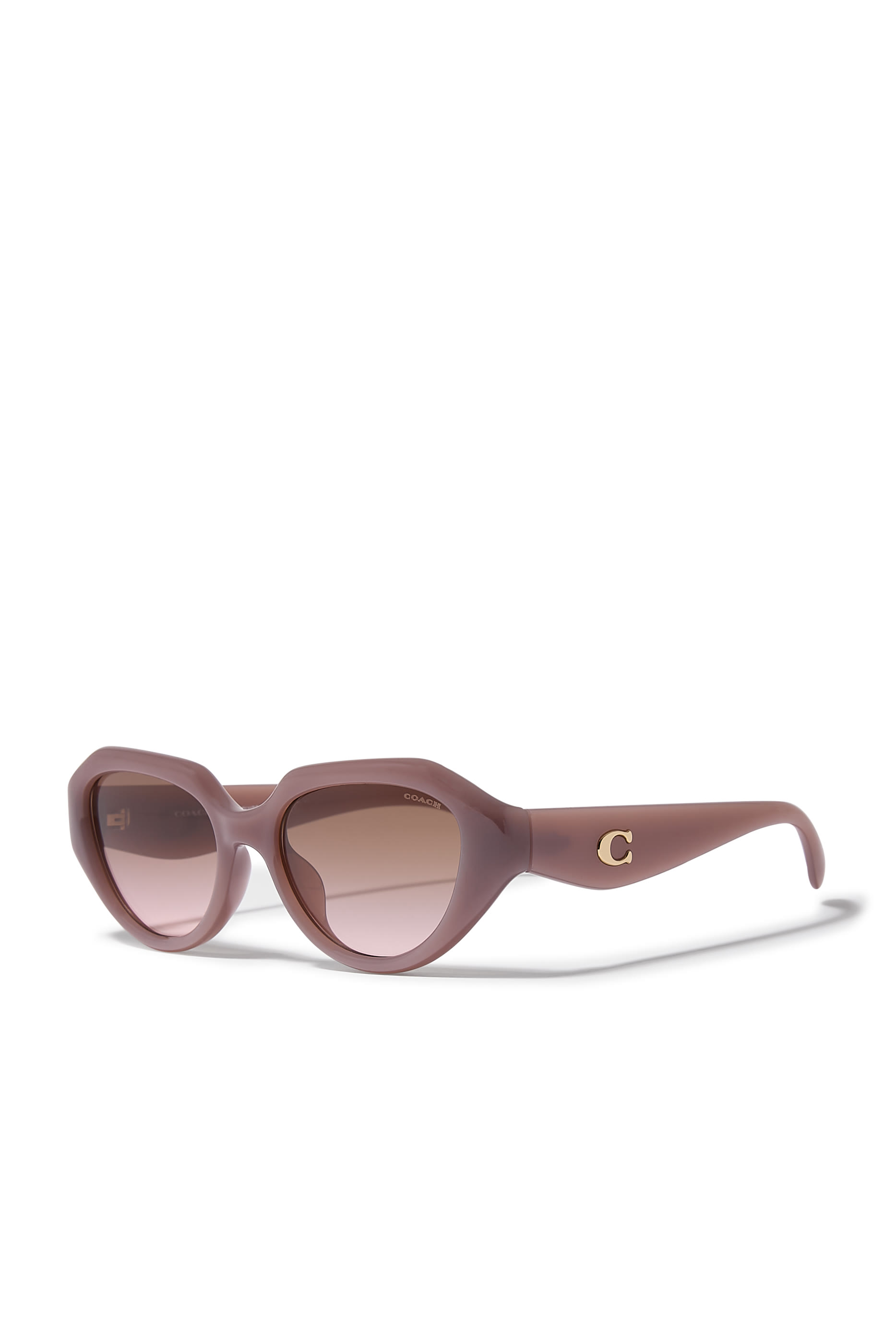Irreg Frame Sculpted C Logo Temple Sunglasses