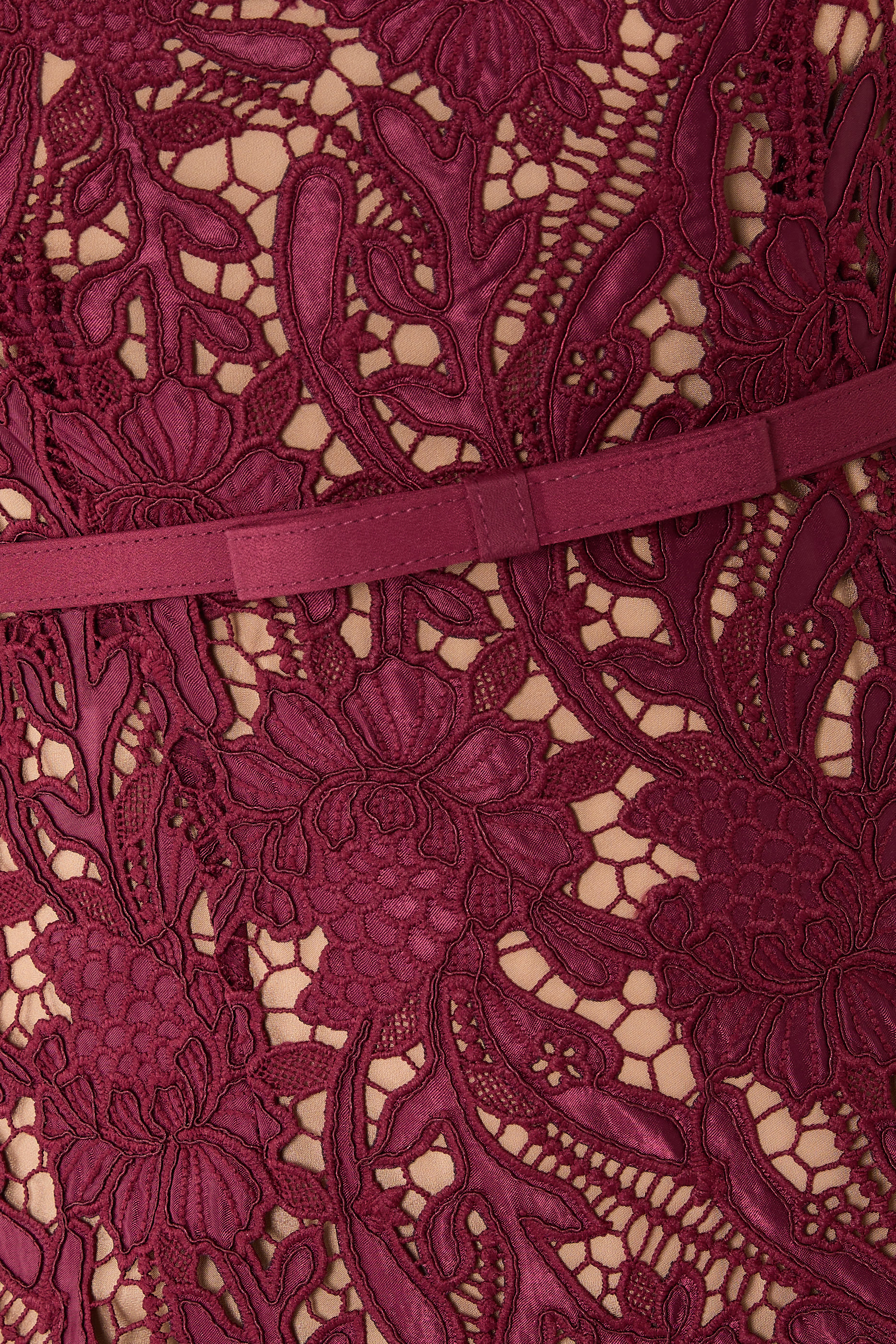 Guipure Lace Midi Dress