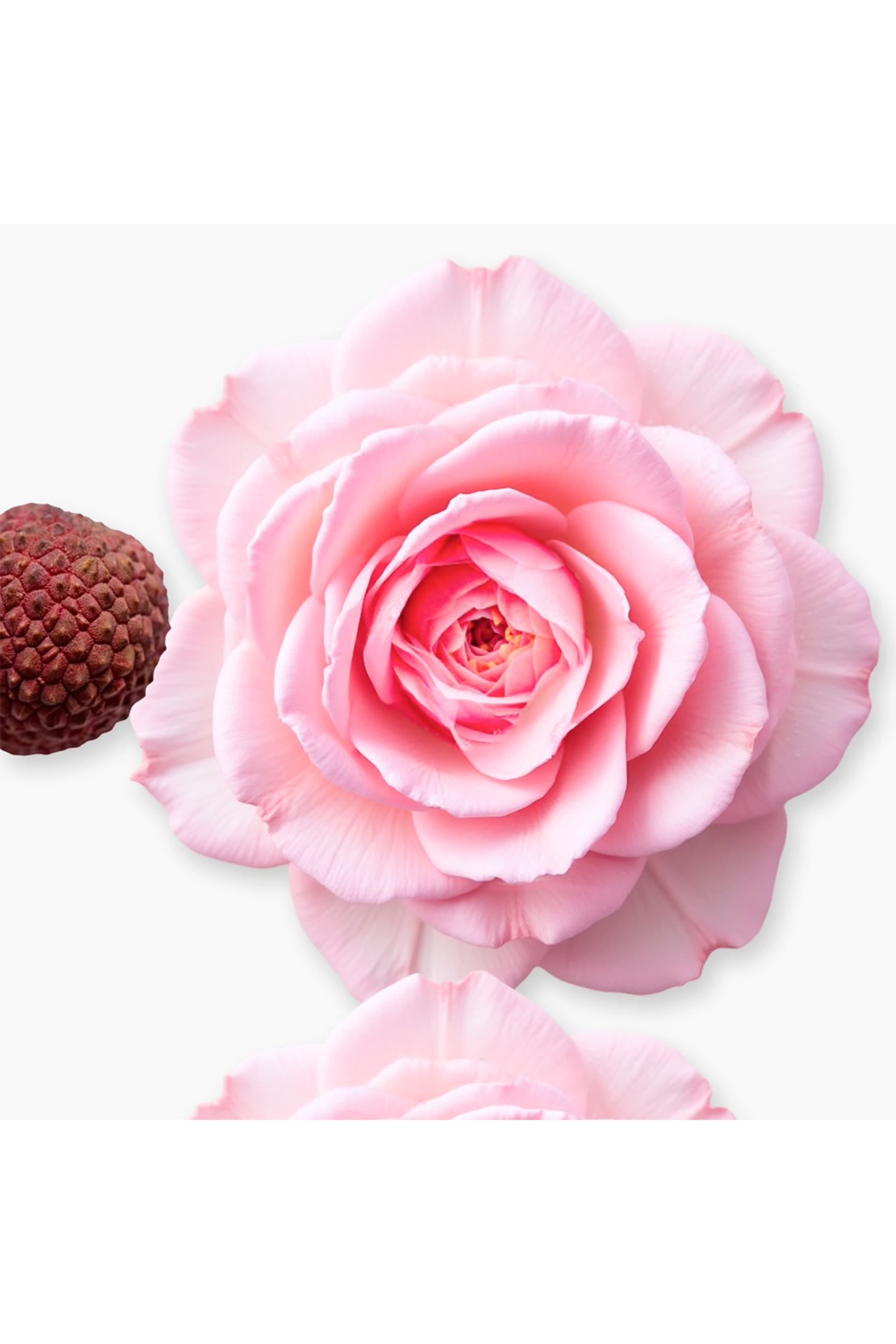 Delina Refillable Body Cream