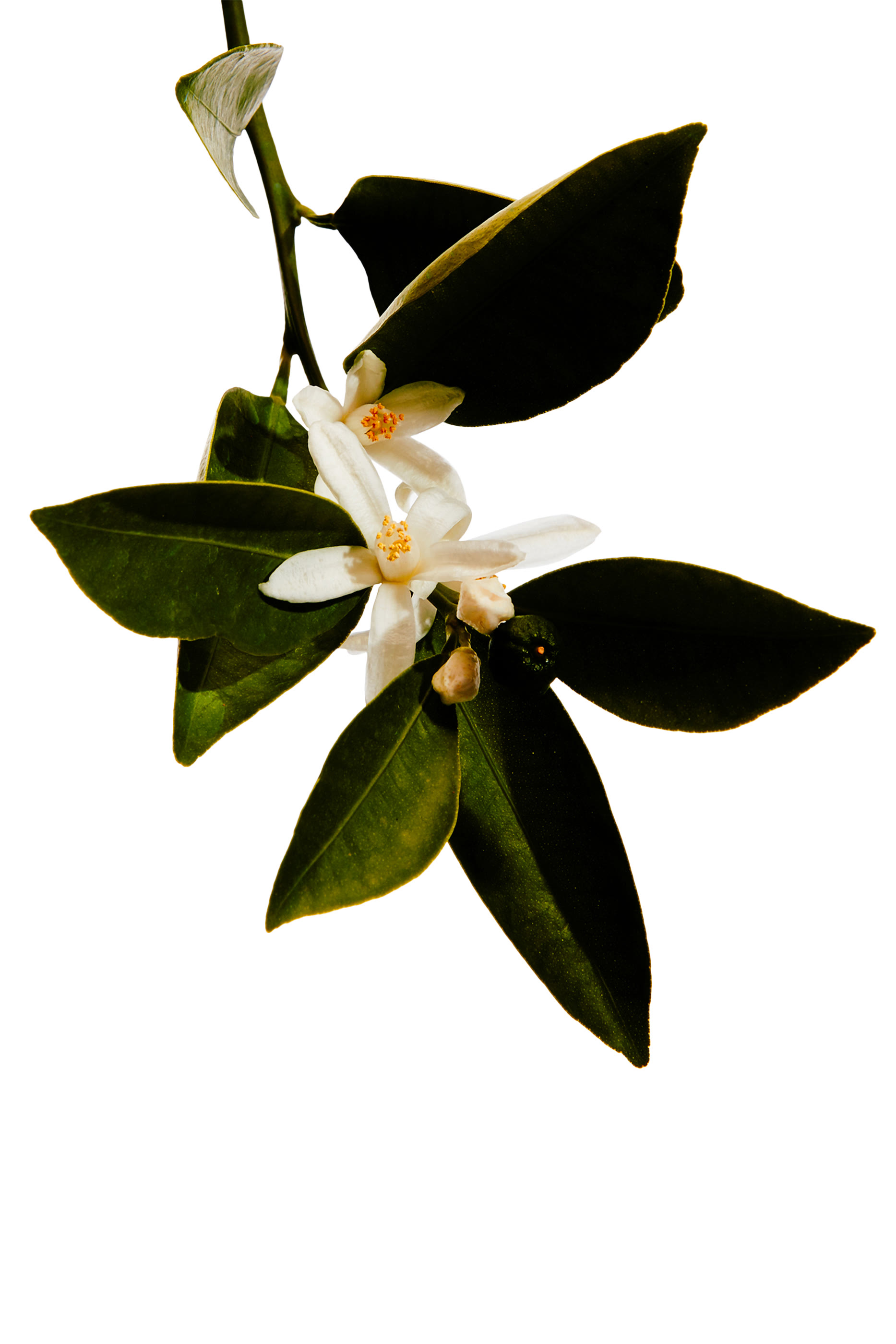 Un Paseo Por Madrid 'Casa de Campo'