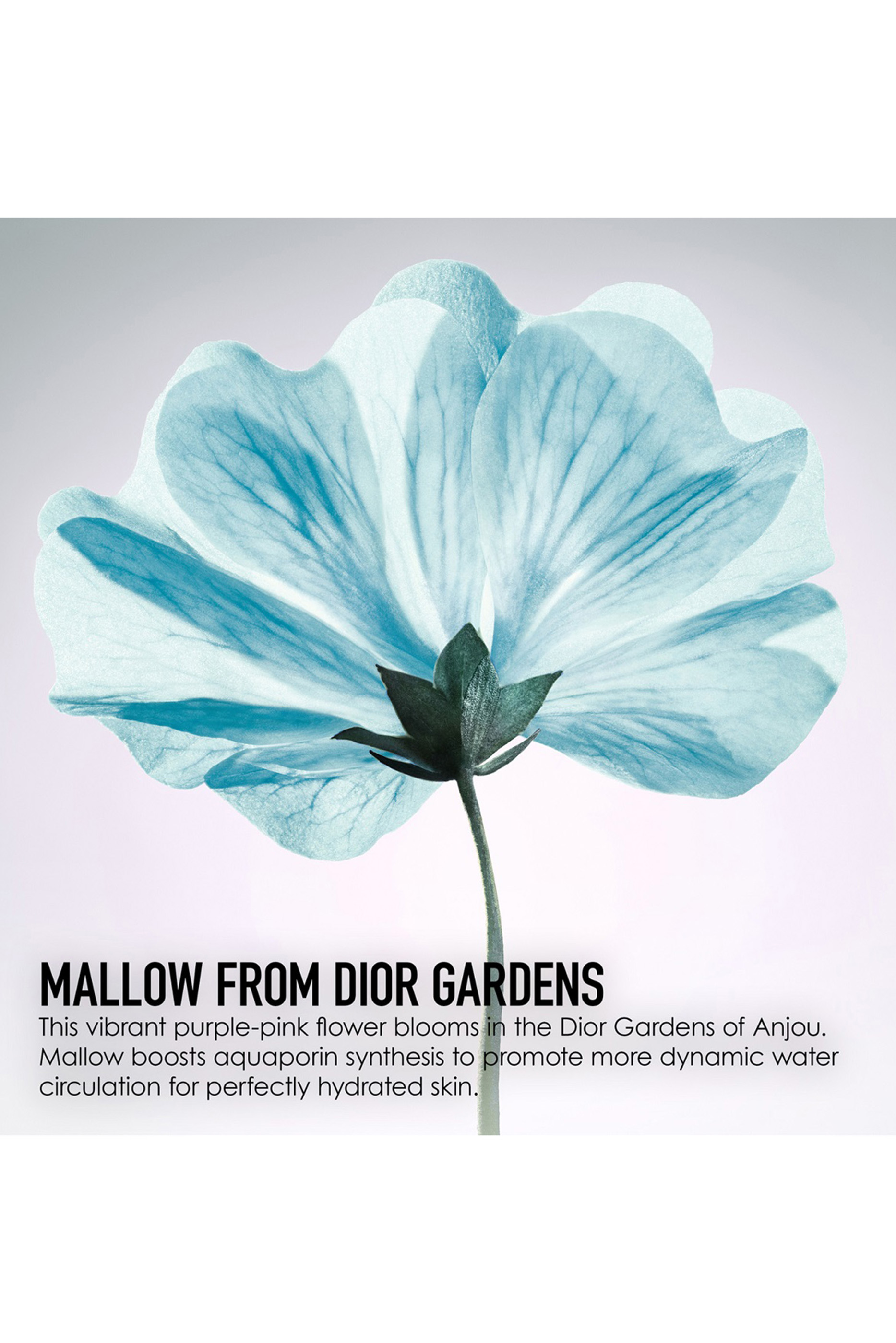 Dior Hydra Life Balancing Hydration - 2-In-1 Sorbet Water