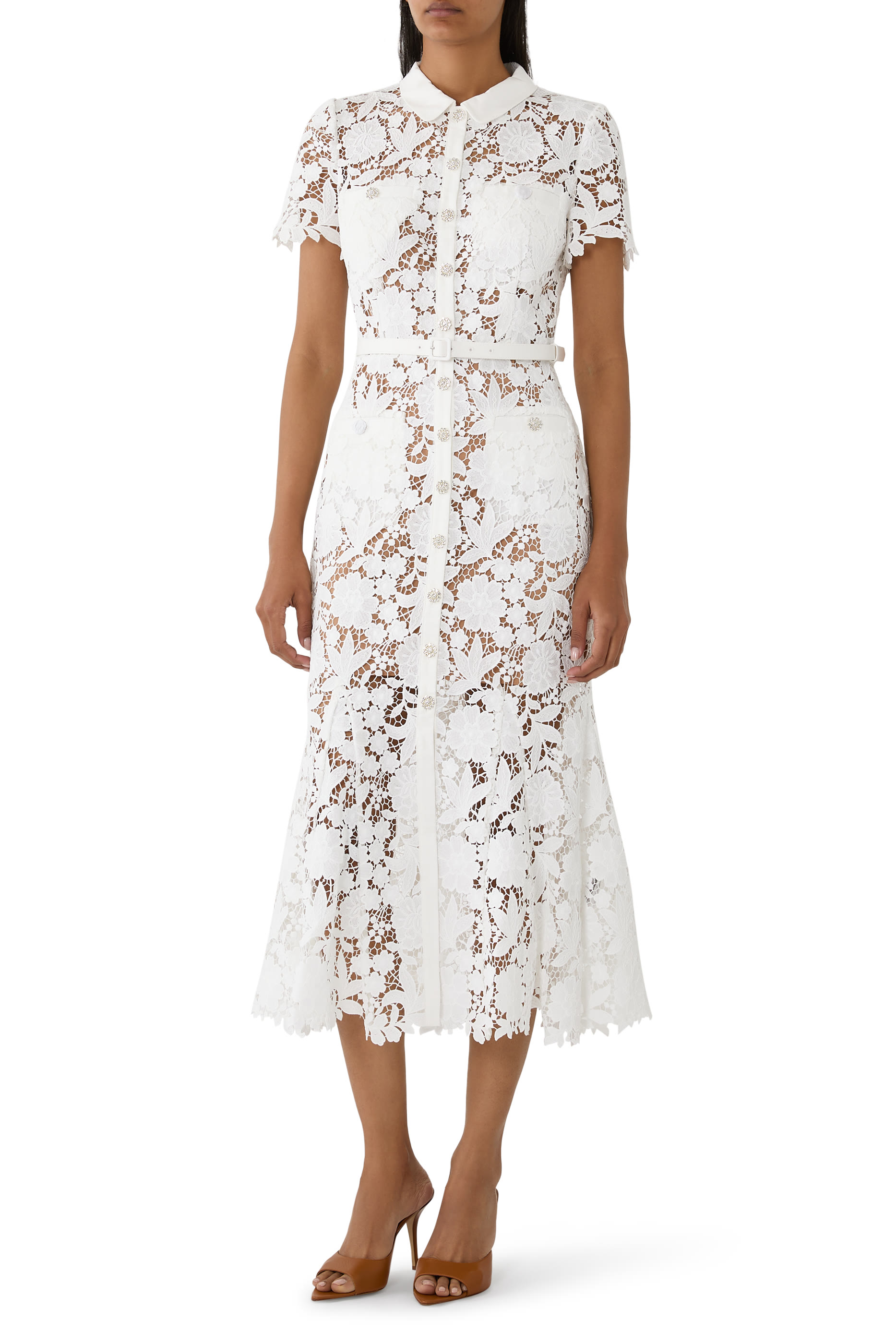 Lace Collared Midi Dress