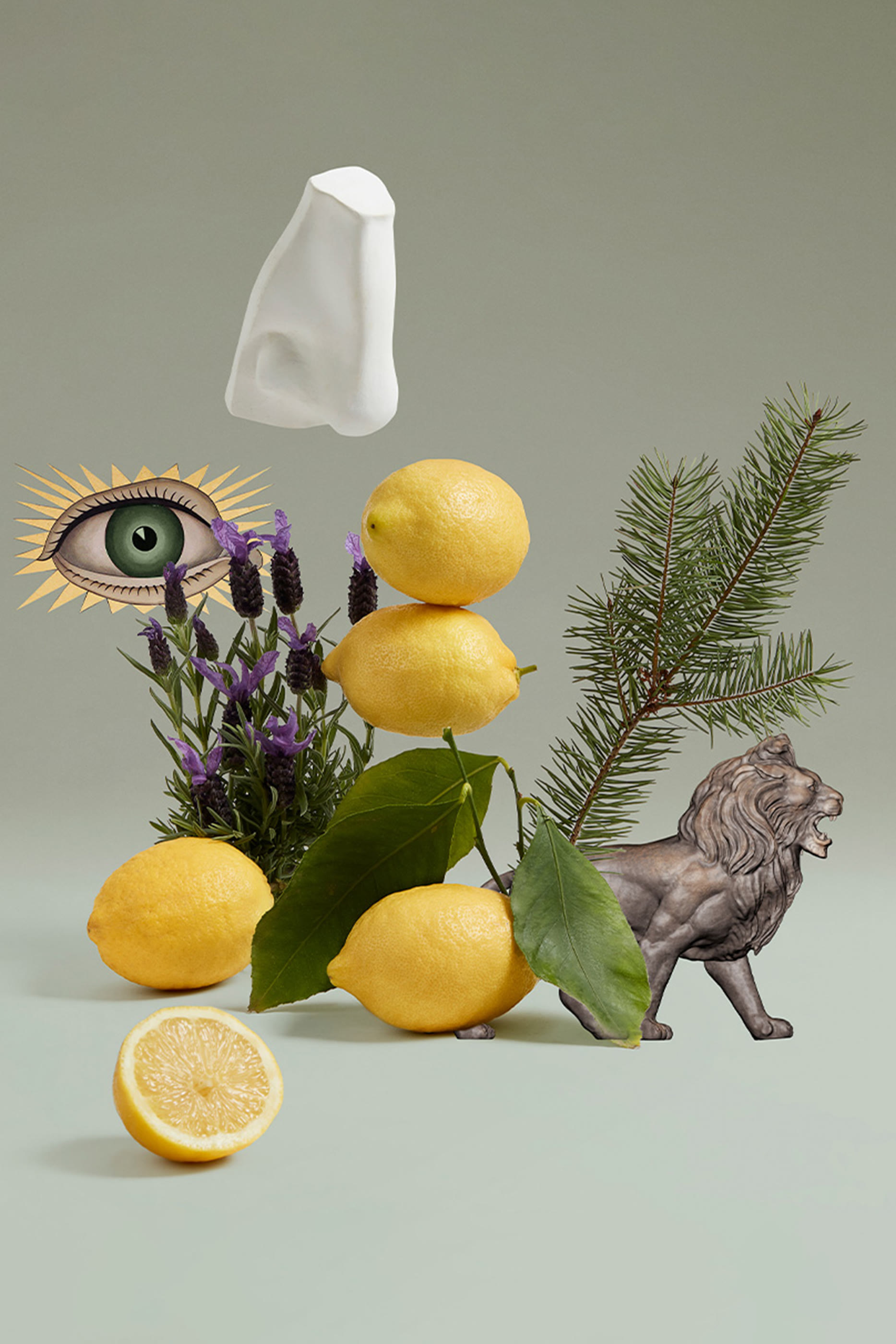 Blenheim Bouquet Eau de Toilette