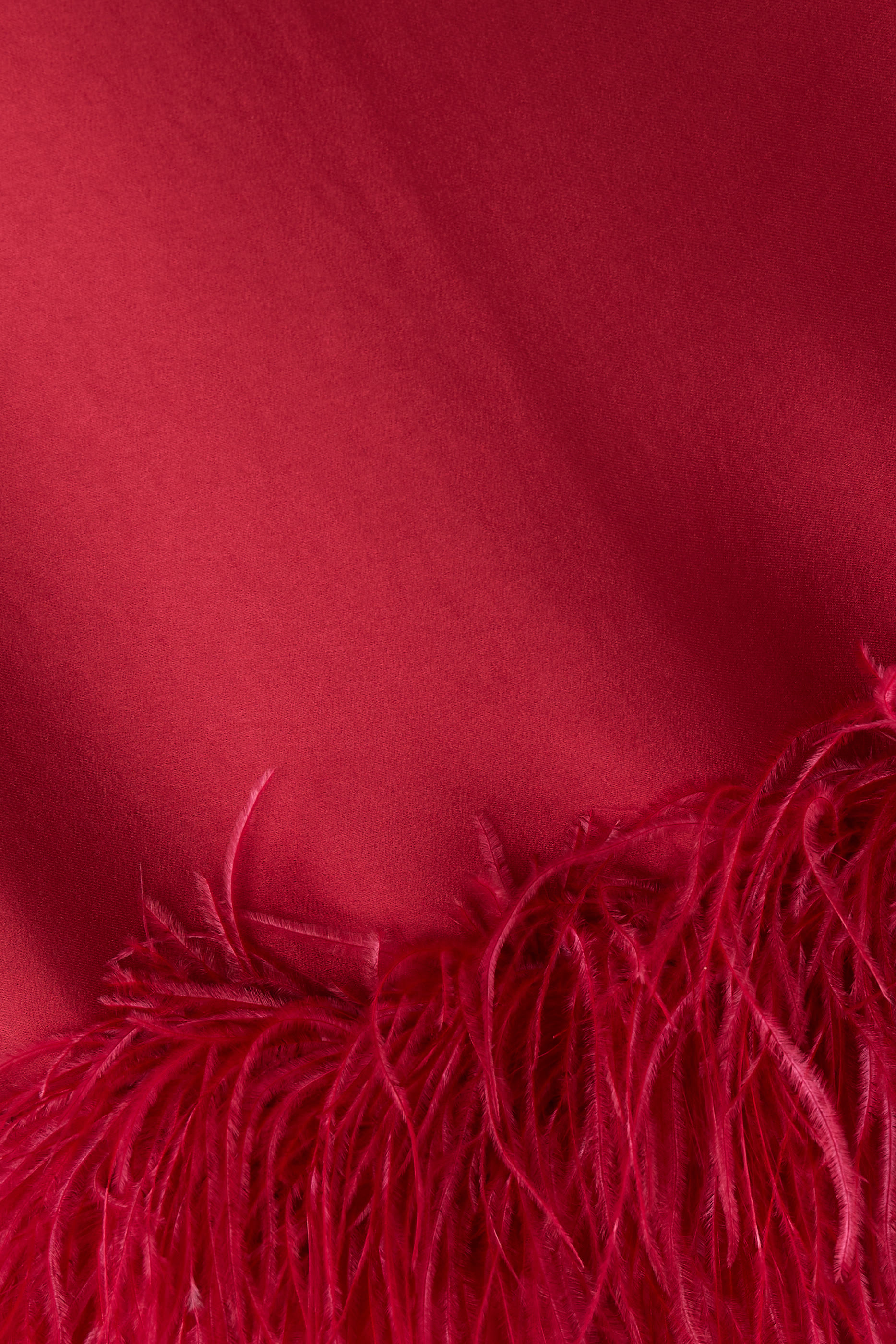 Viscose Top with Feathers 