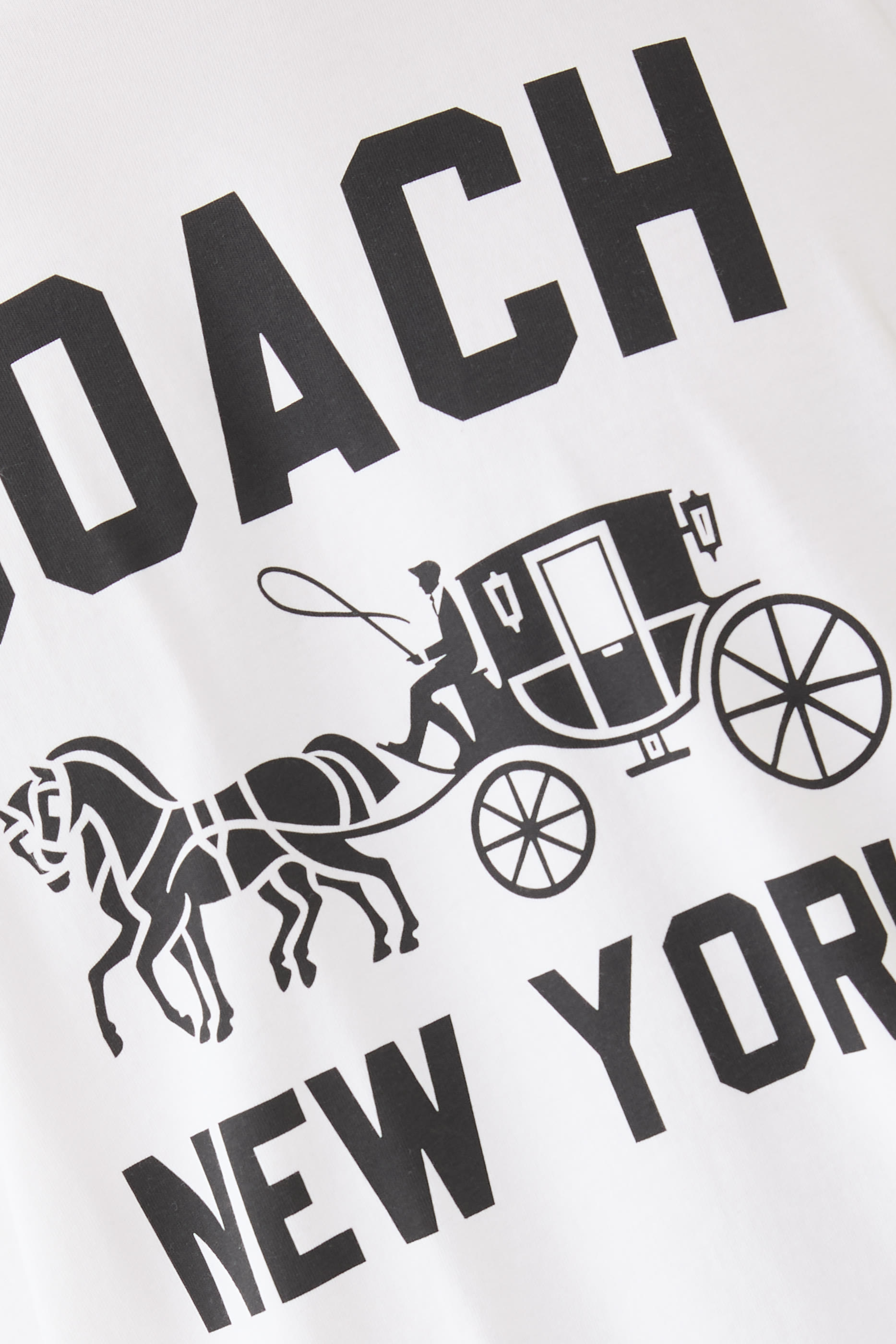 Horse and Carriage T-Shirt