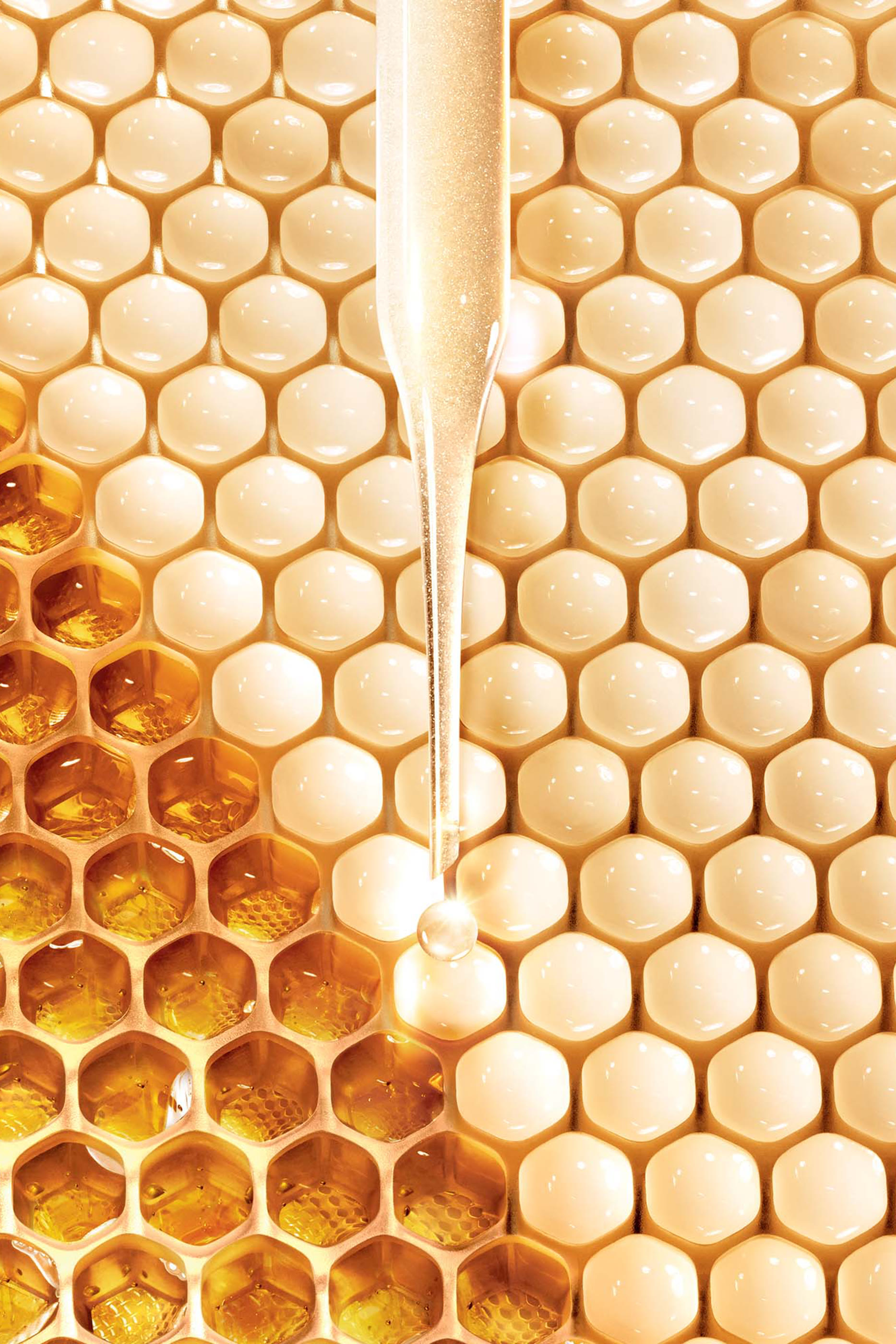 Abeille Royale Fortifying Lotion with Royal Jelly