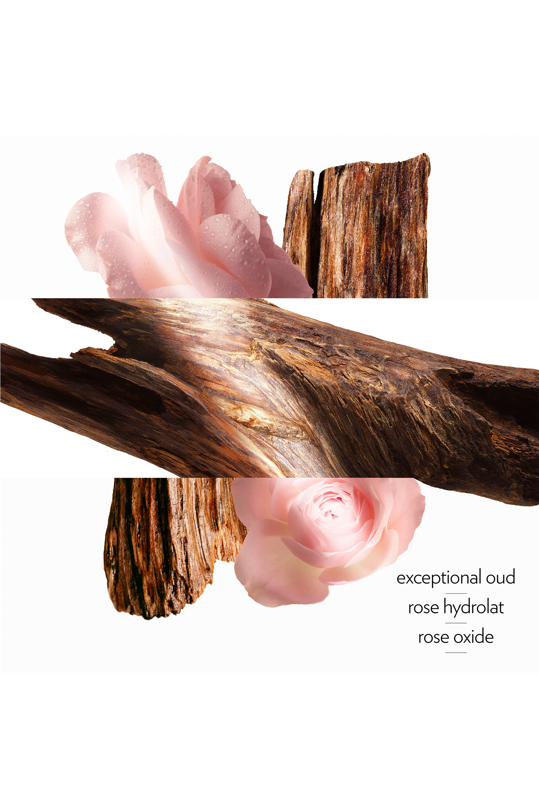 Oud Alezan, Perfumed Body Cream