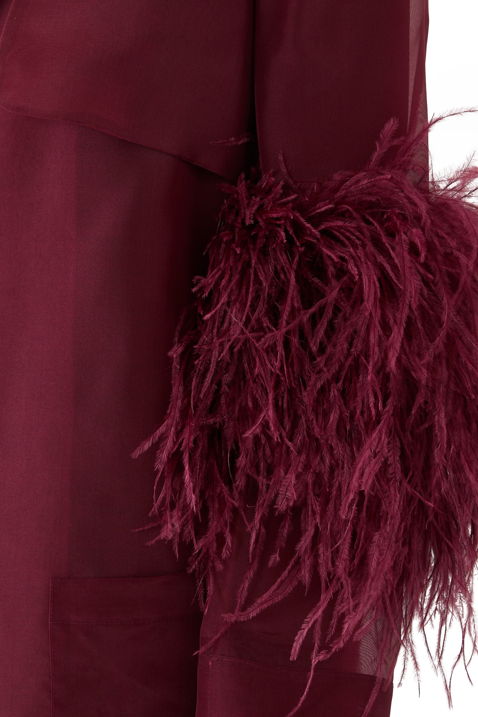 Organza Sheer Duster With Feathers 