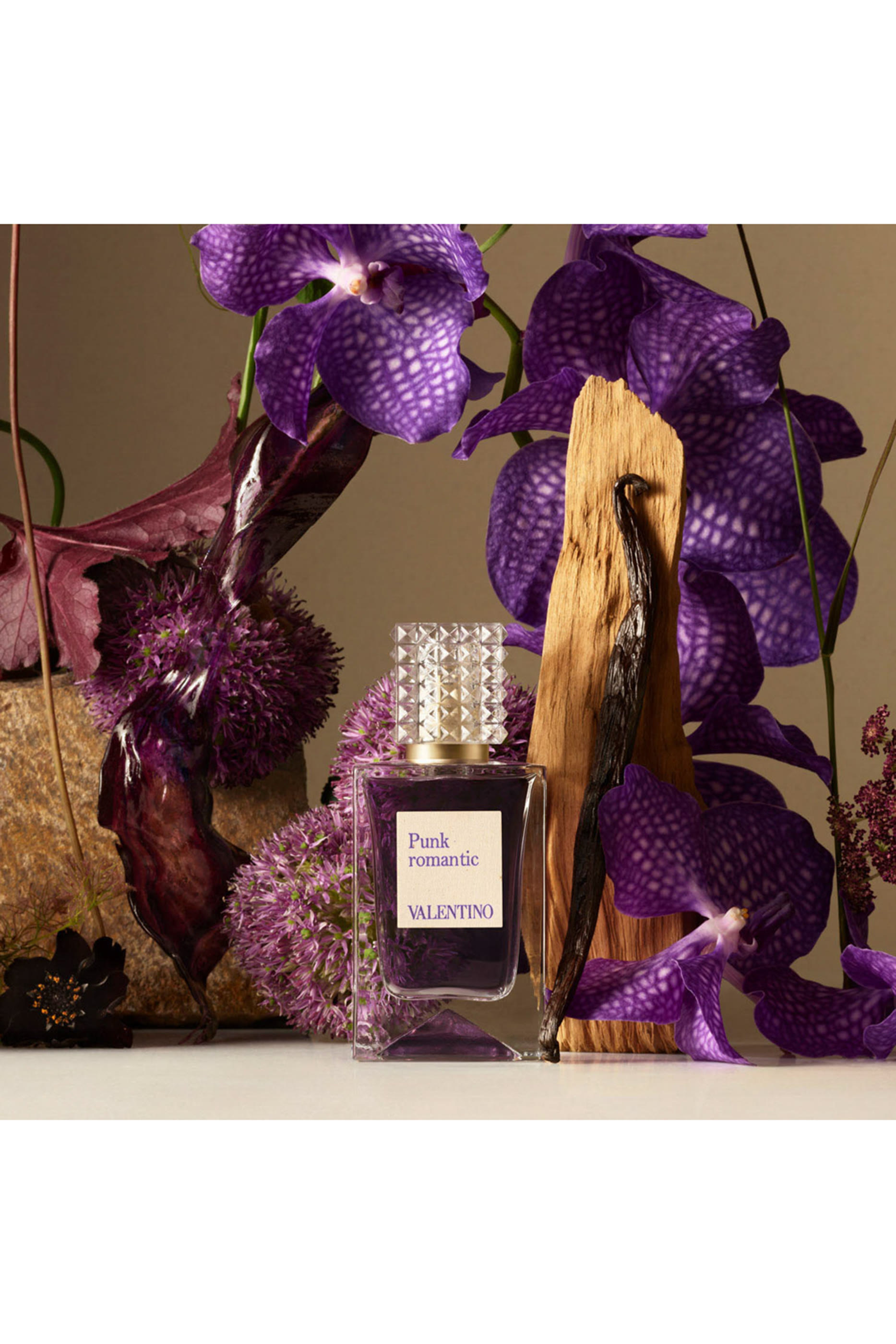 Anatomy Of Dreams - Punk Romantic Parfum