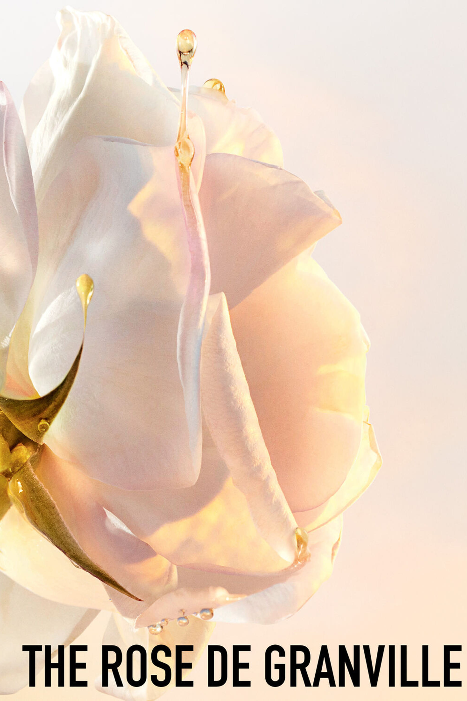 Dior Prestige Le Sucre de Gommage