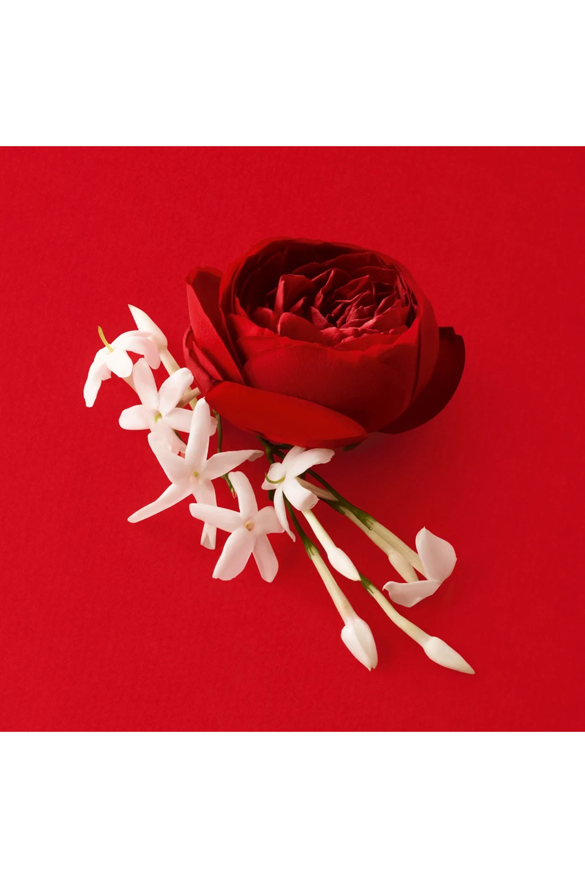 Si Passione Eau De Parfum