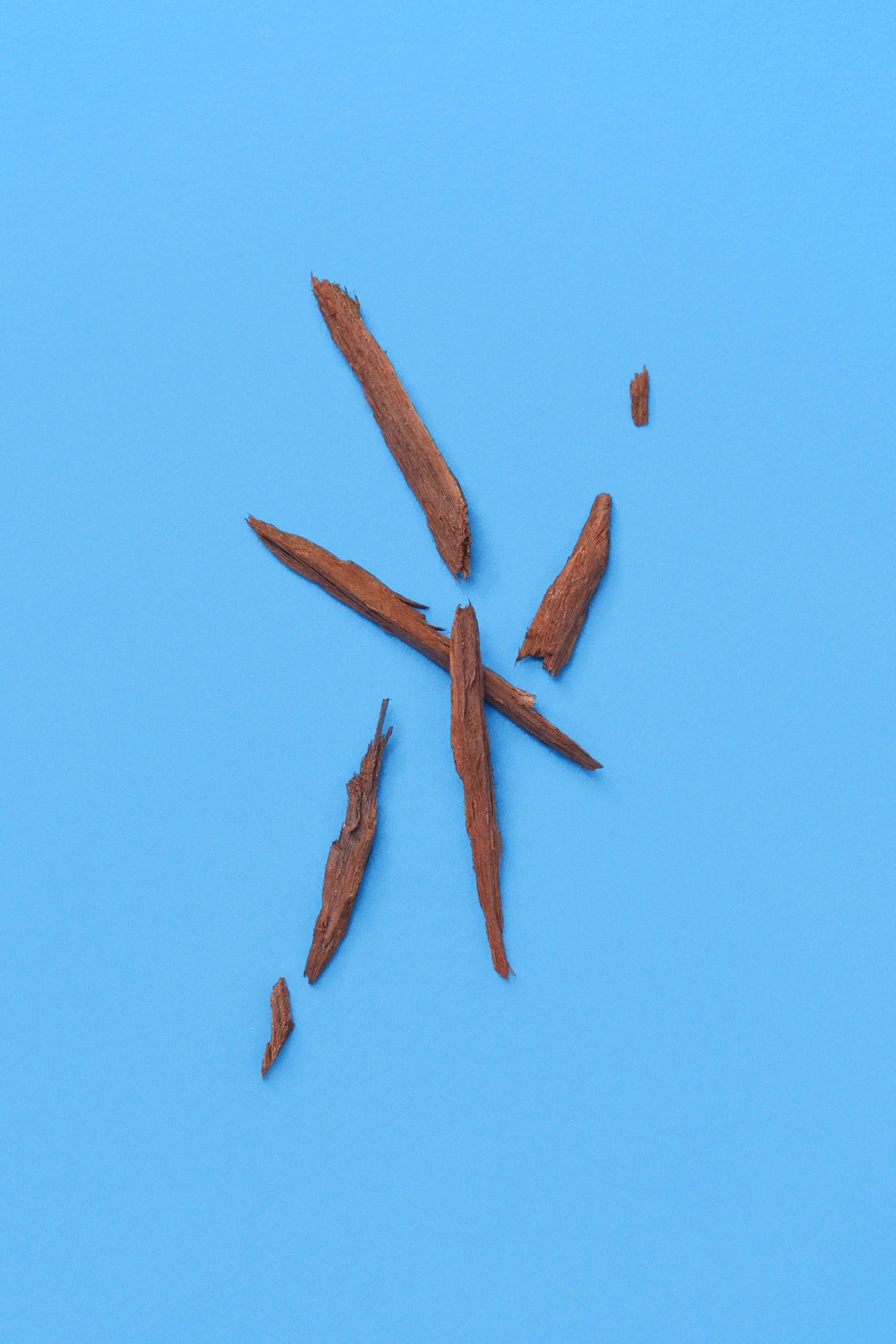 A Song for the Rose Eau de Parfum