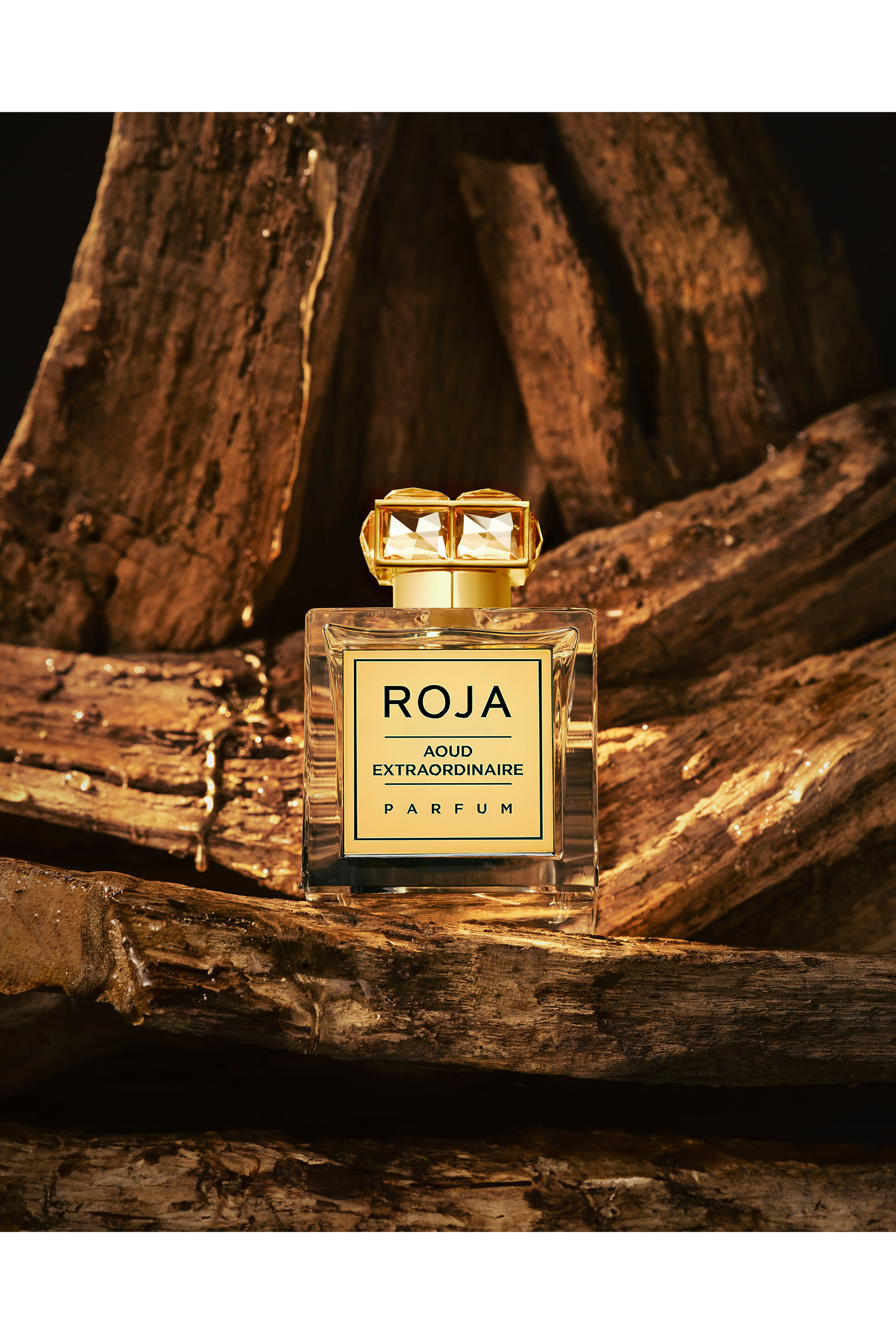 Aoud Extraordinaire Parfum