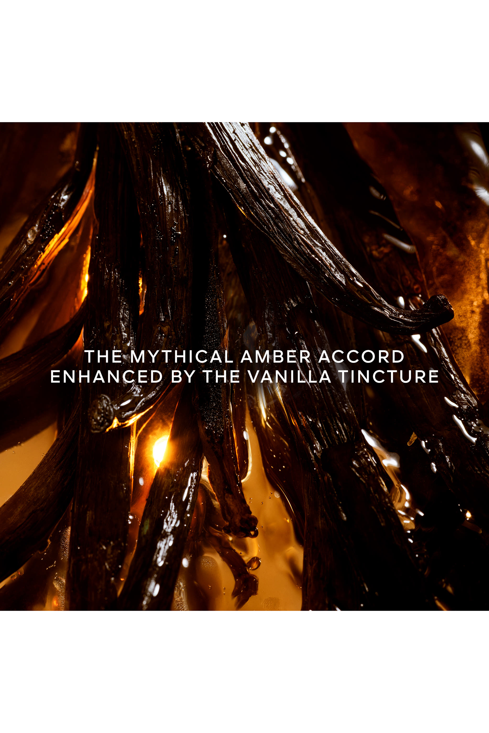 Shalimar L&rsquo;Essence Eau de Parfum Intense