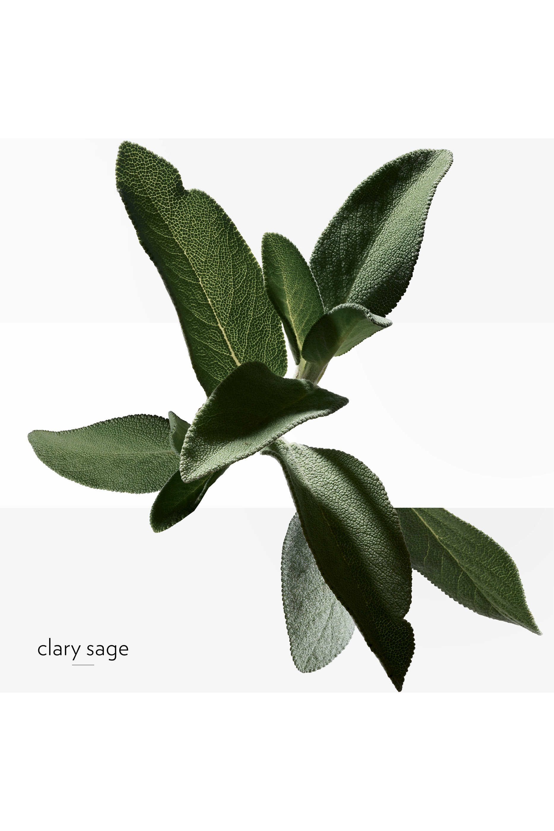 H24 Energizing Moisturizing Face Cream