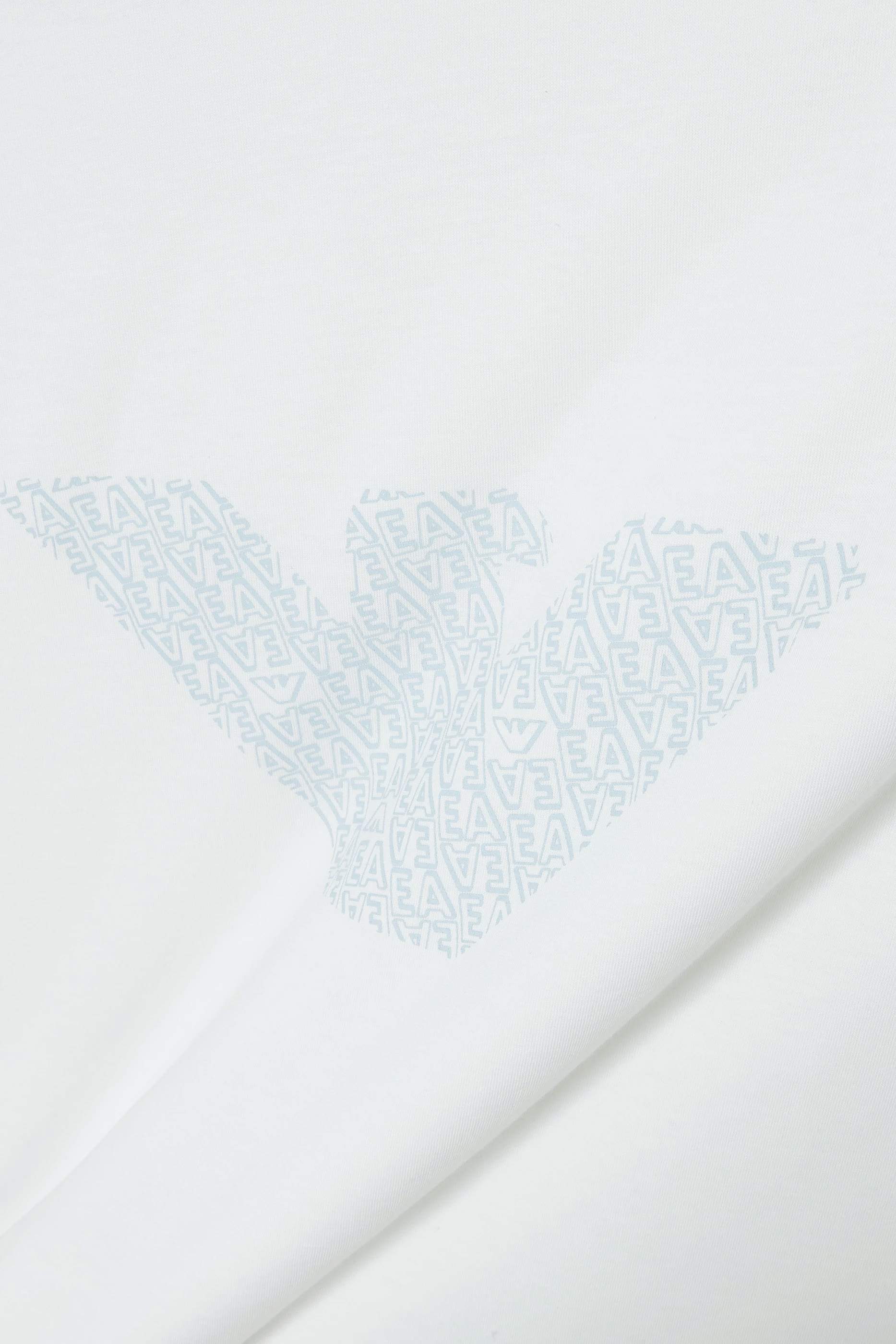 Kids Eagle Logo Blanket