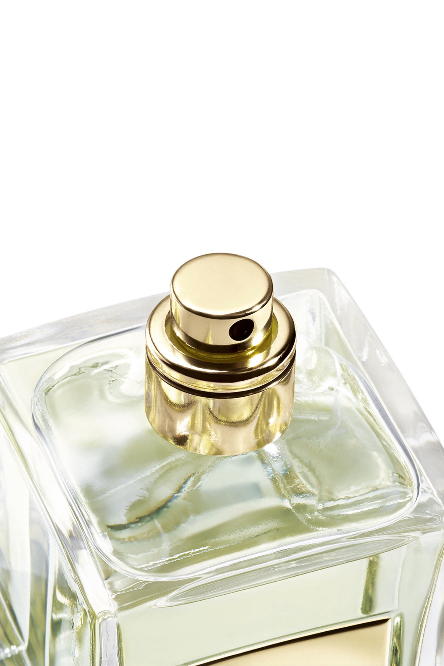 The Yulong Eau de Toilette