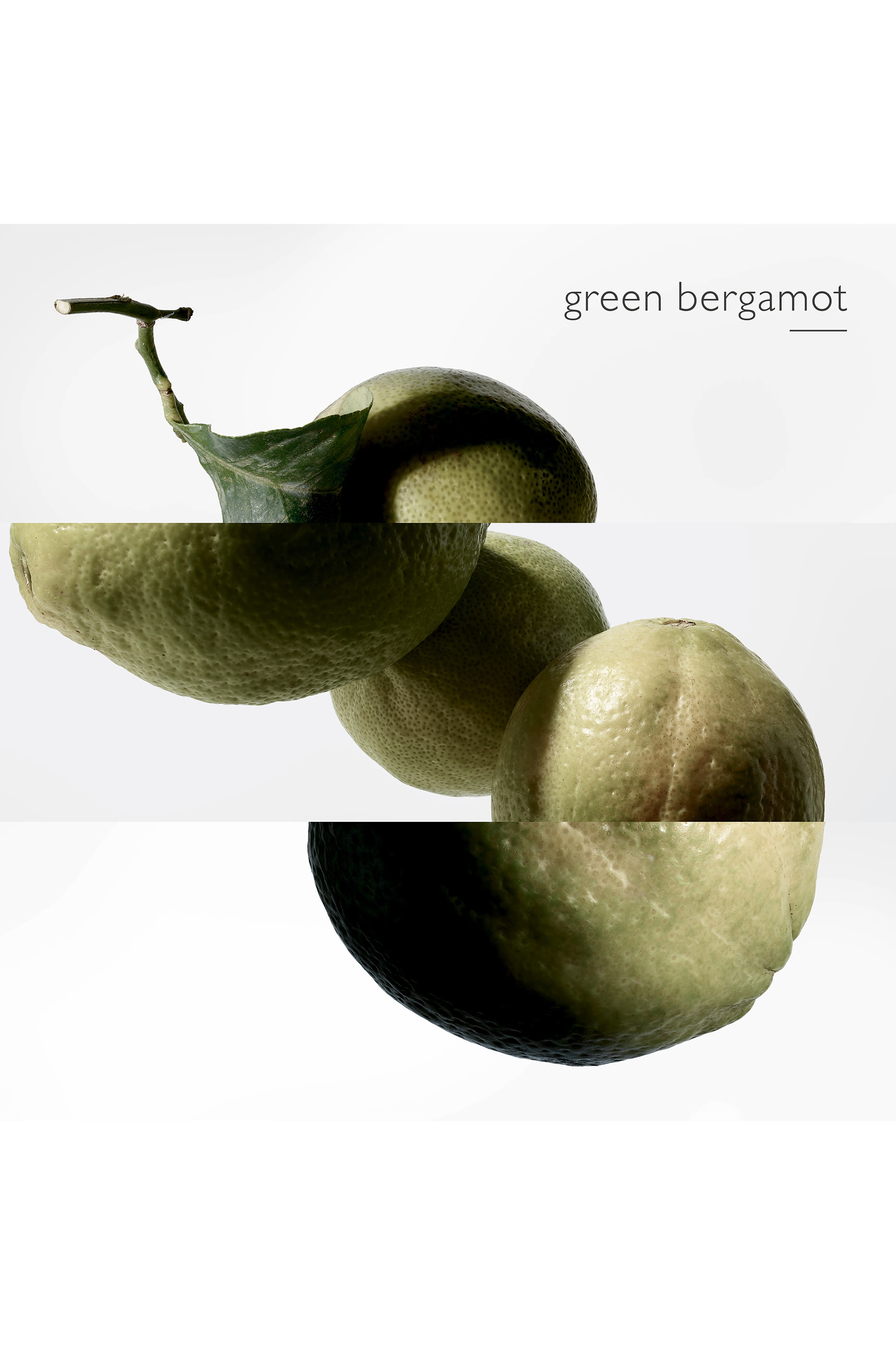 Terre d'Herm&egrave;s Eau Intense V&eacute;tiver, Eau de parfum