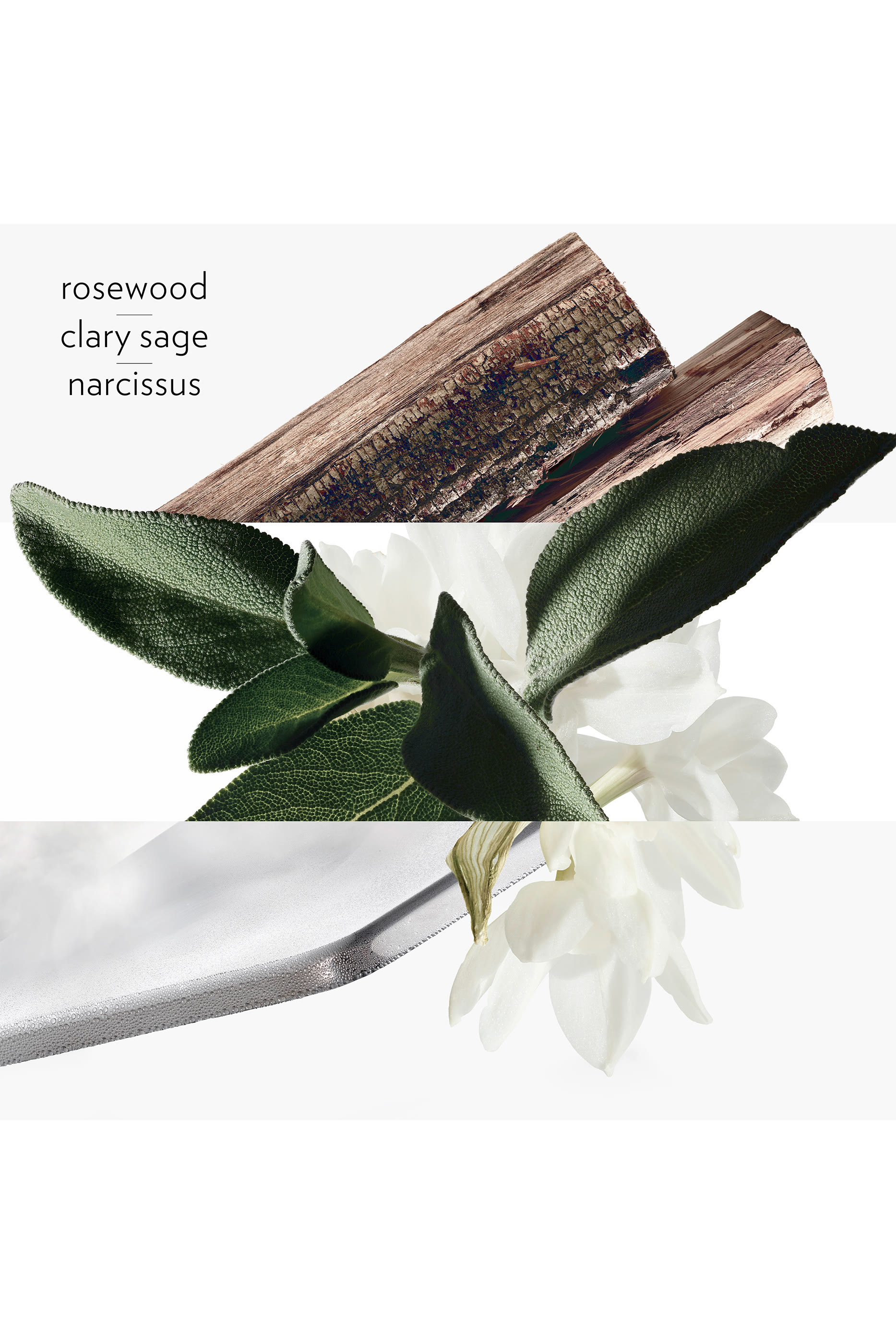 H24 Energizing Moisturizing Face Cream