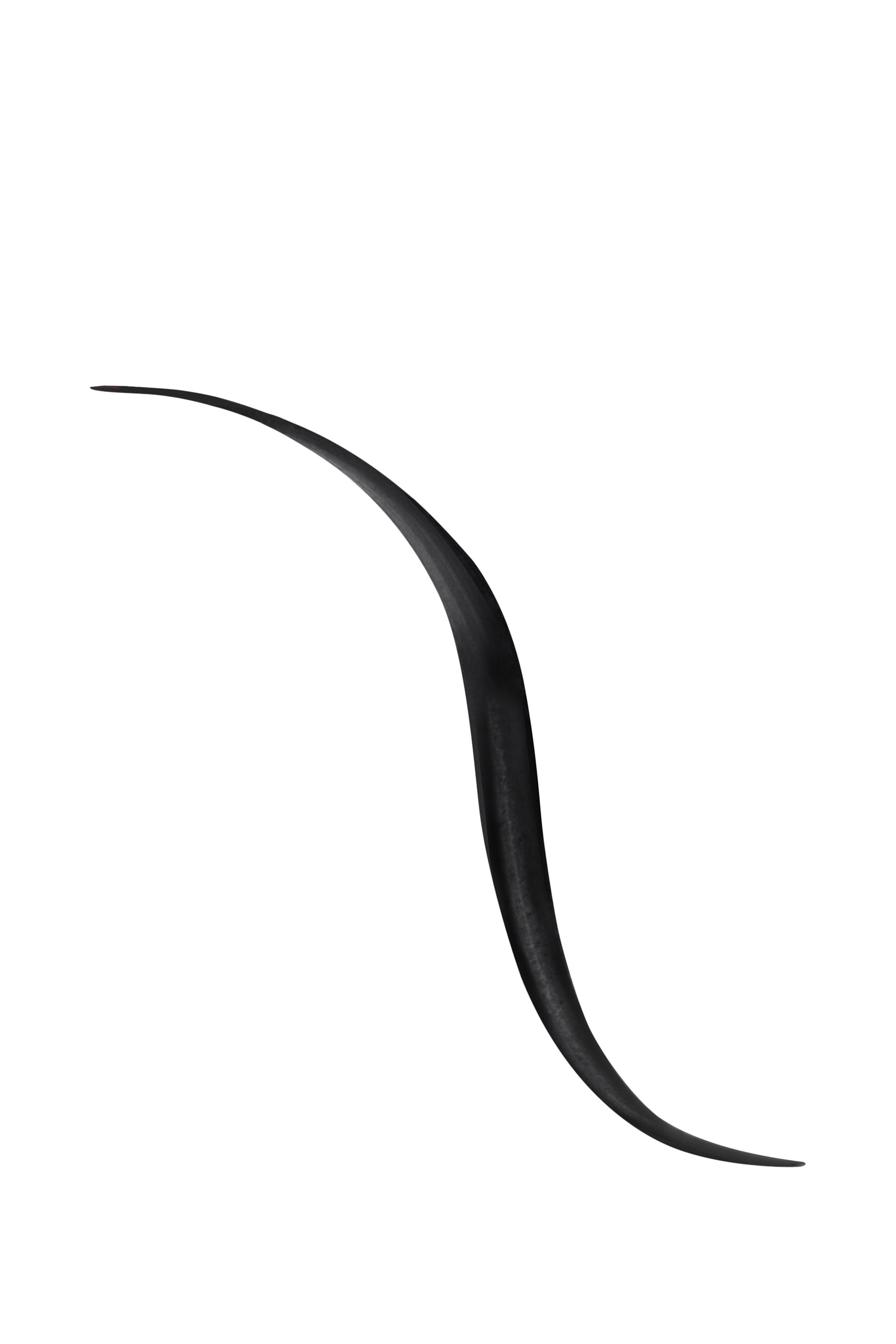 Noir G Graphic Liner