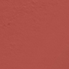 MATTE 1005 -CORAL