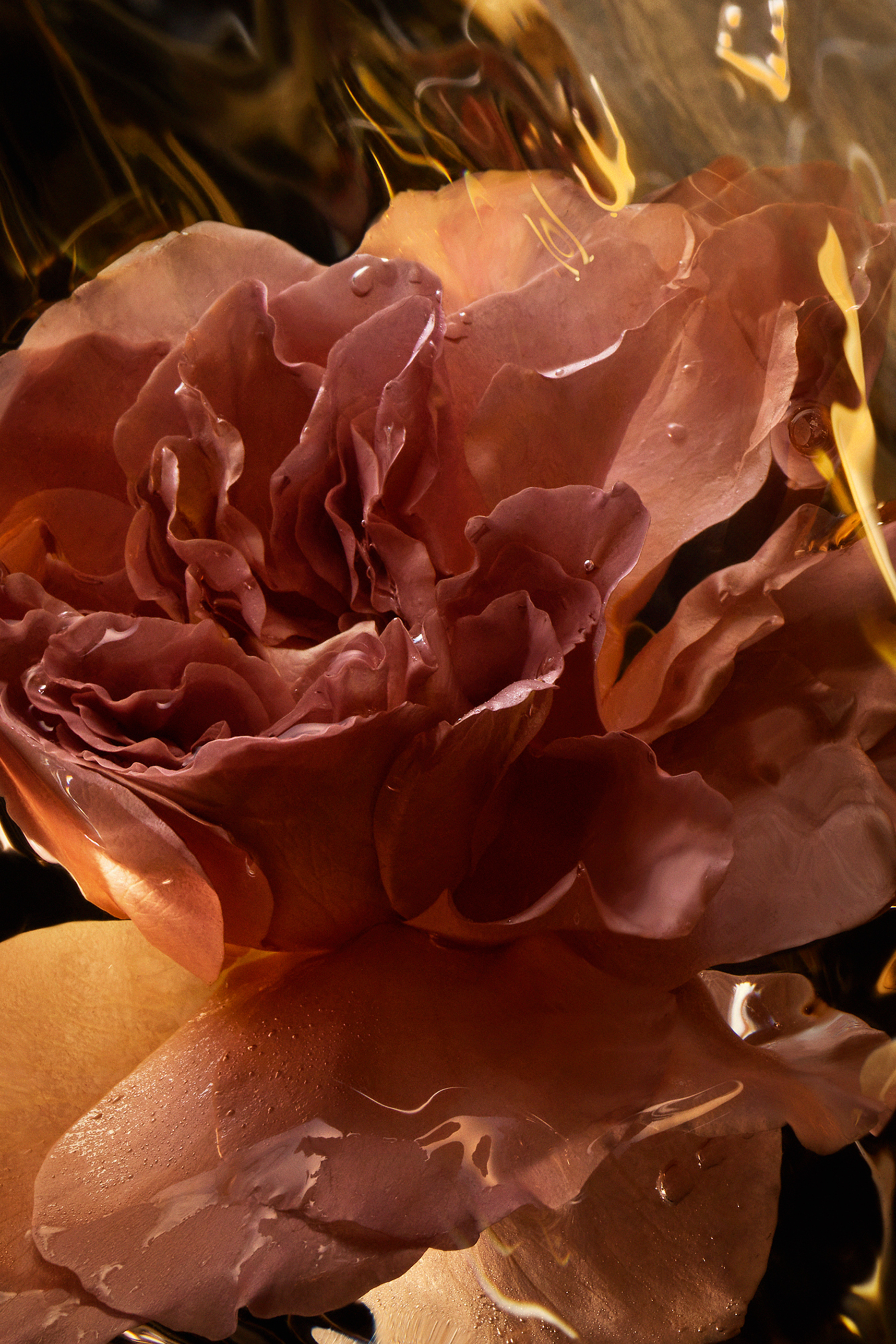 Santal Royal Eau de Parfum