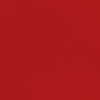 1 Red Camellia